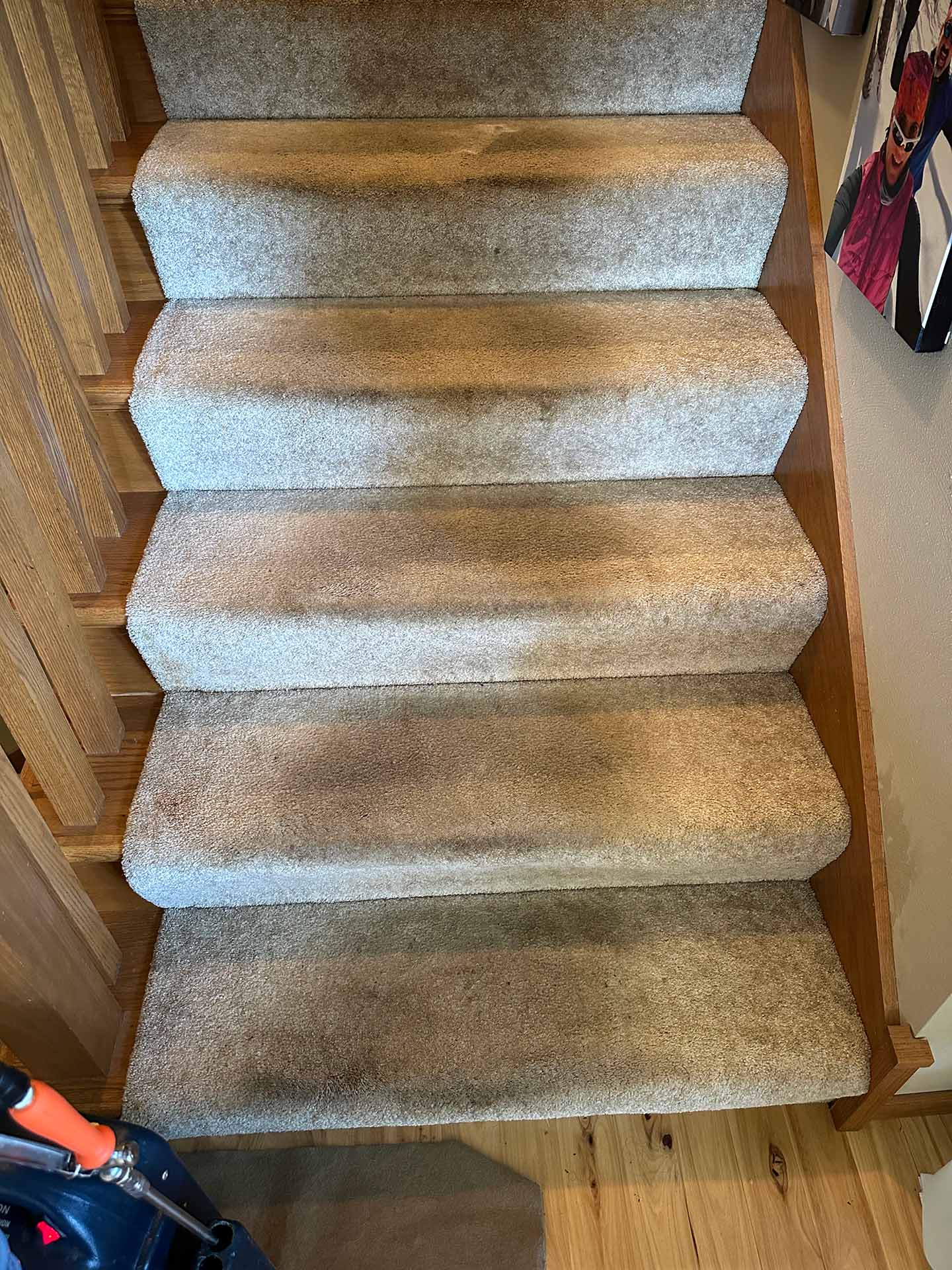 sun prairie carpet cleaning project