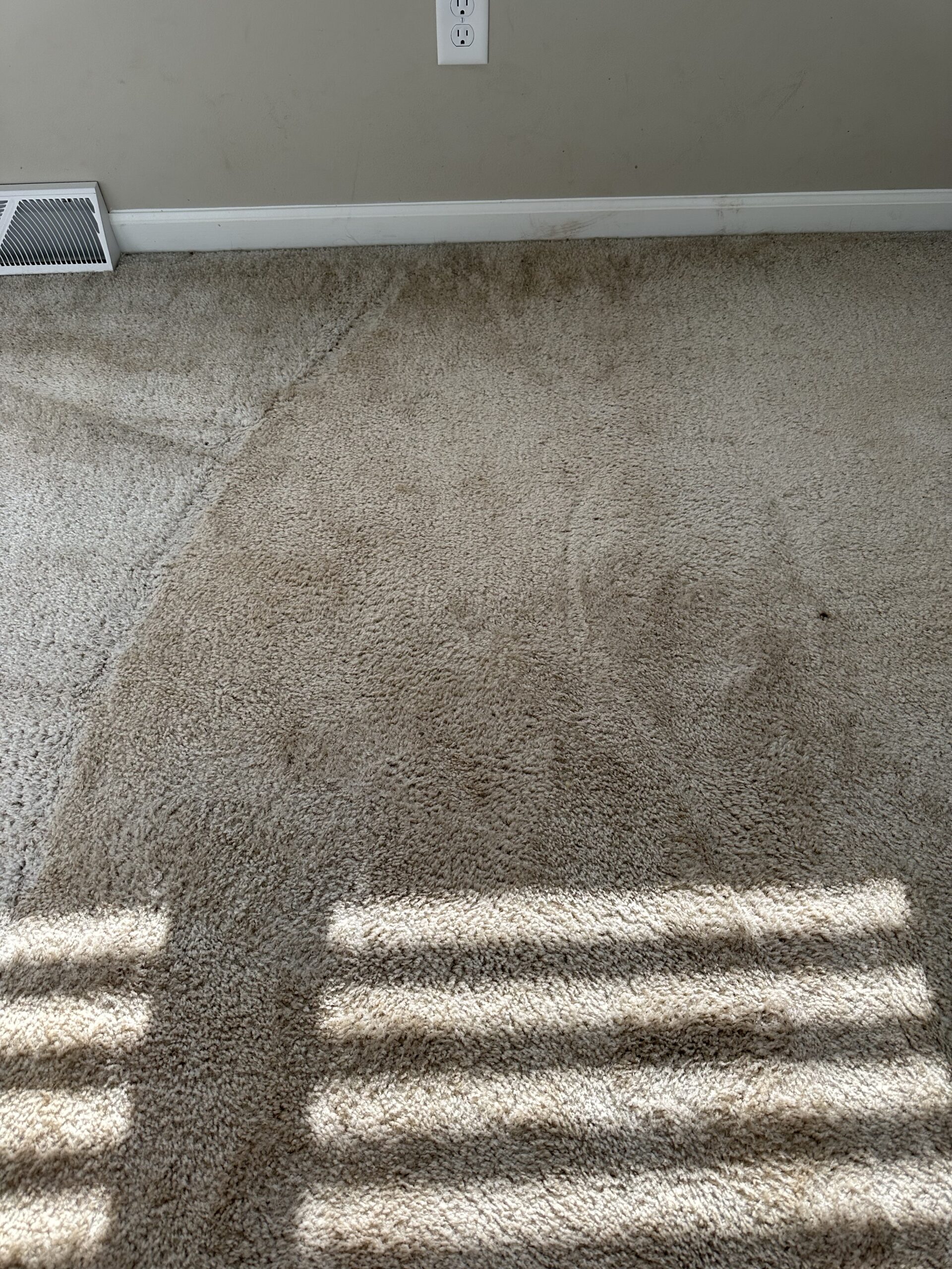 Before Verona Steam Carpet Cleaning project