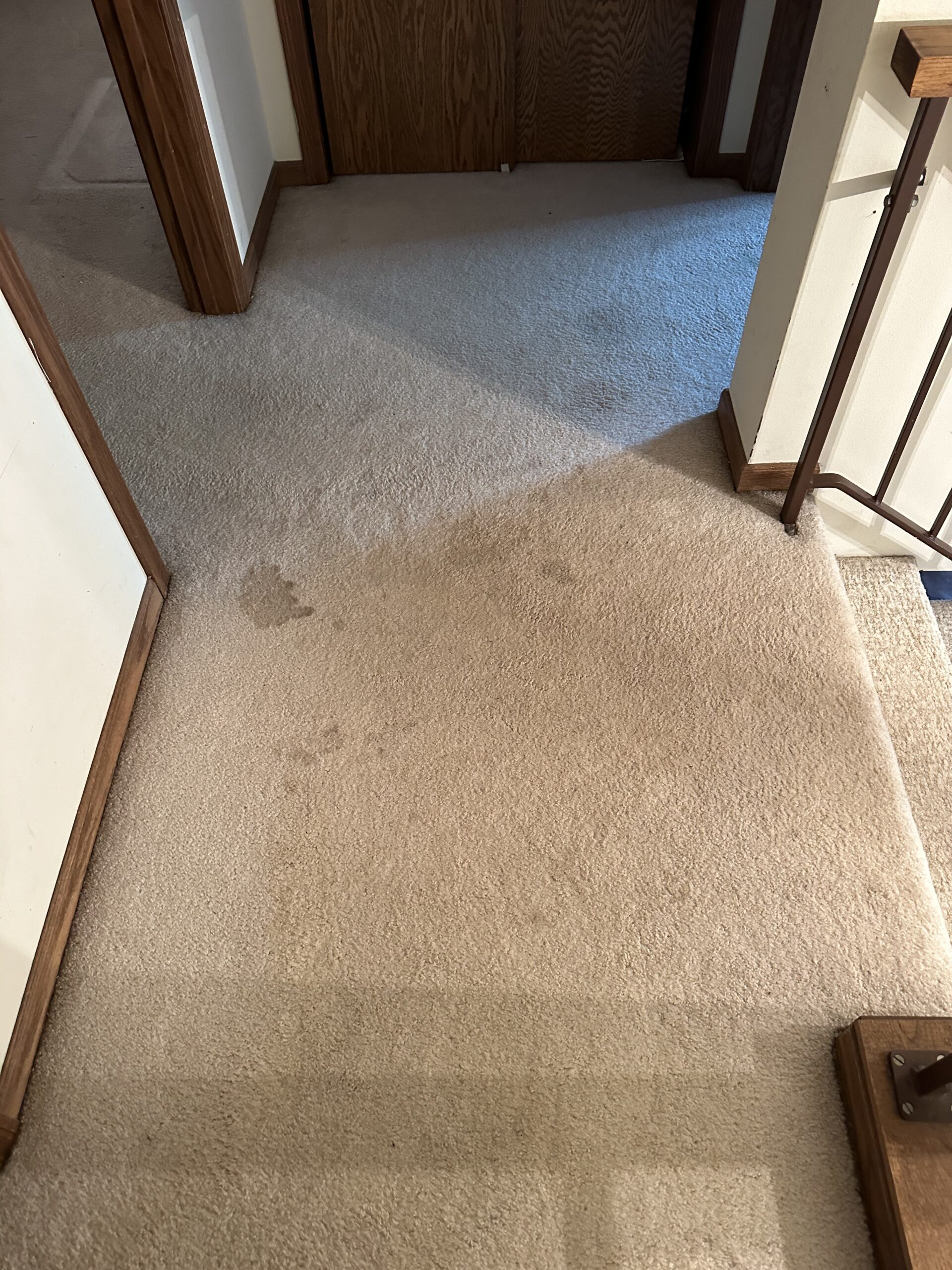 dirty carpet in East Madison home