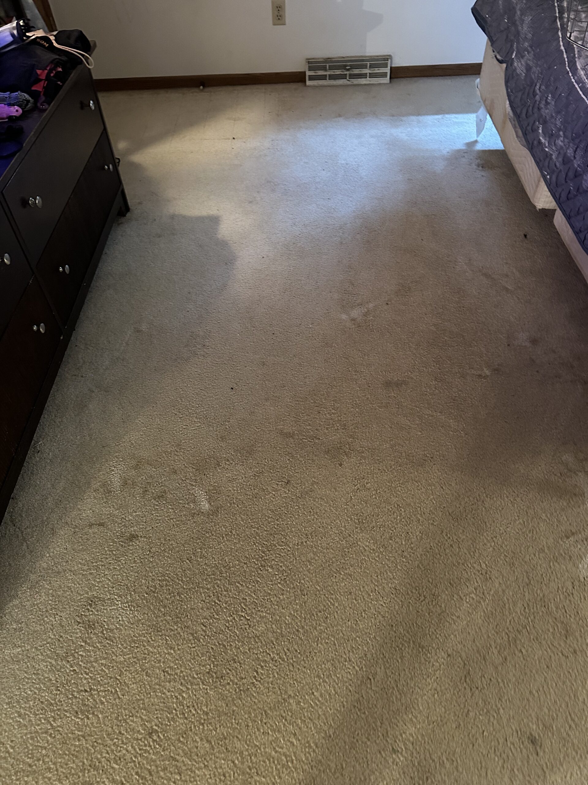 east madison home carpet cleaning project - before