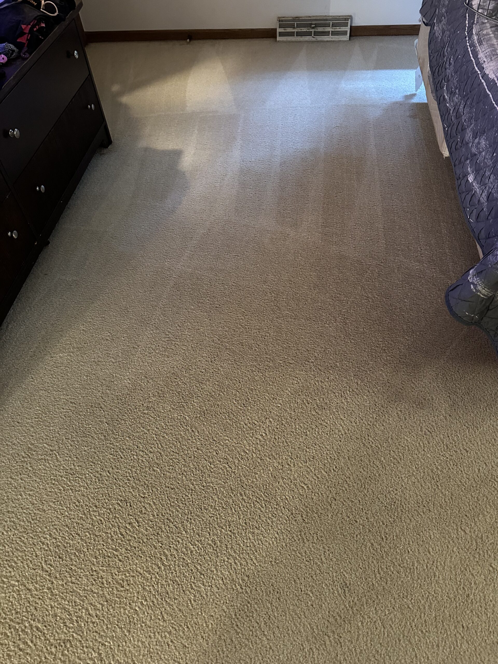 completed east madison home carpet cleaning project