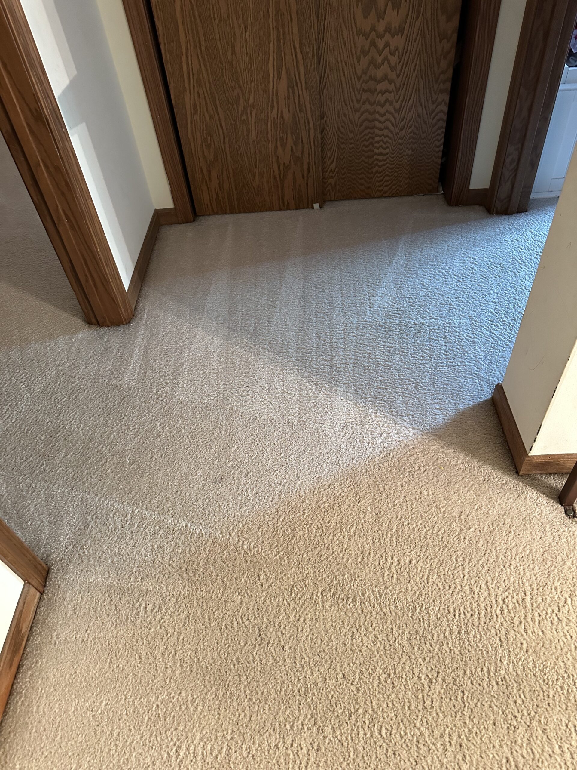 East Madison home carpet cleaning project completed