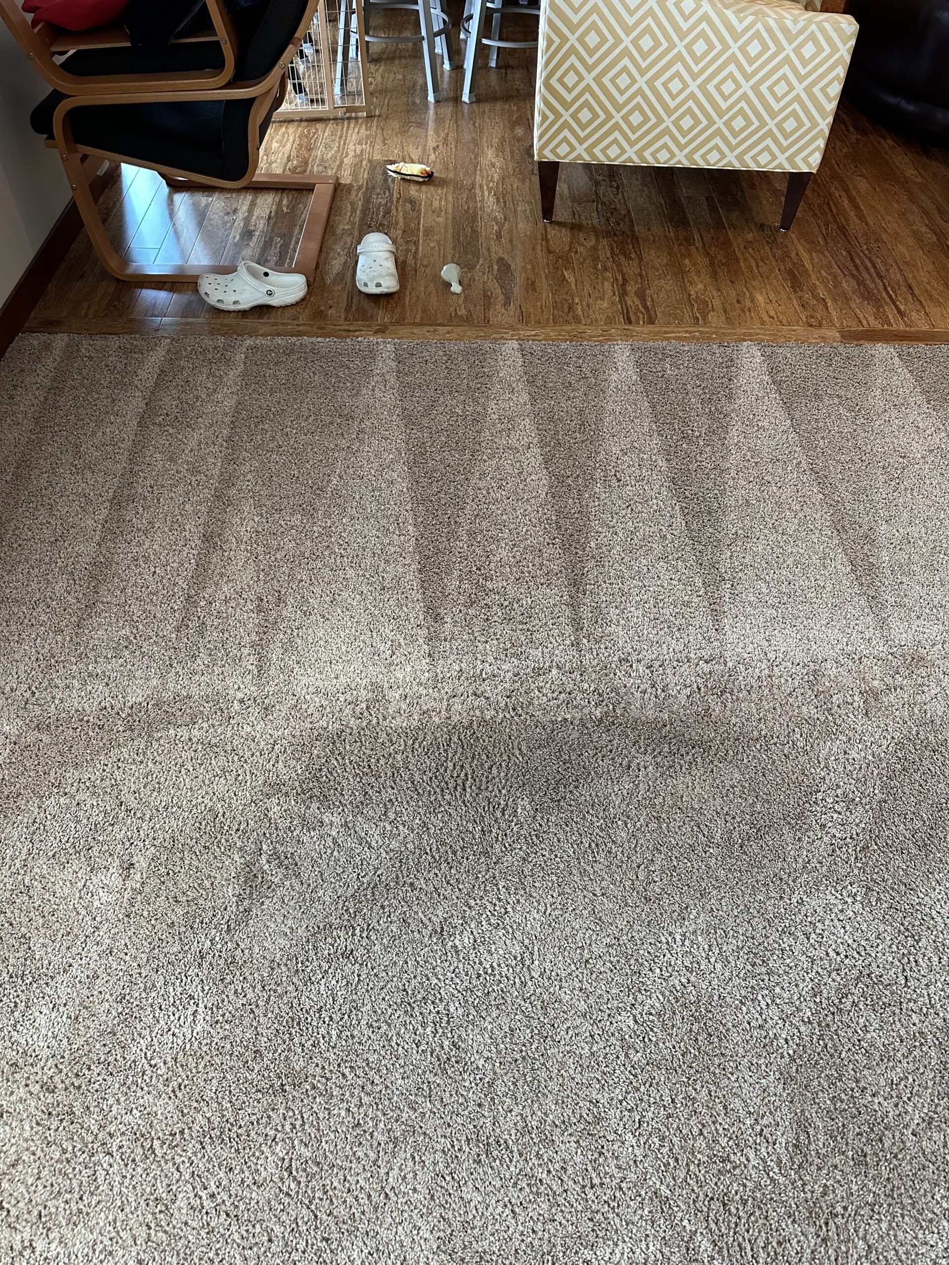 Oregon carpet cleaning project