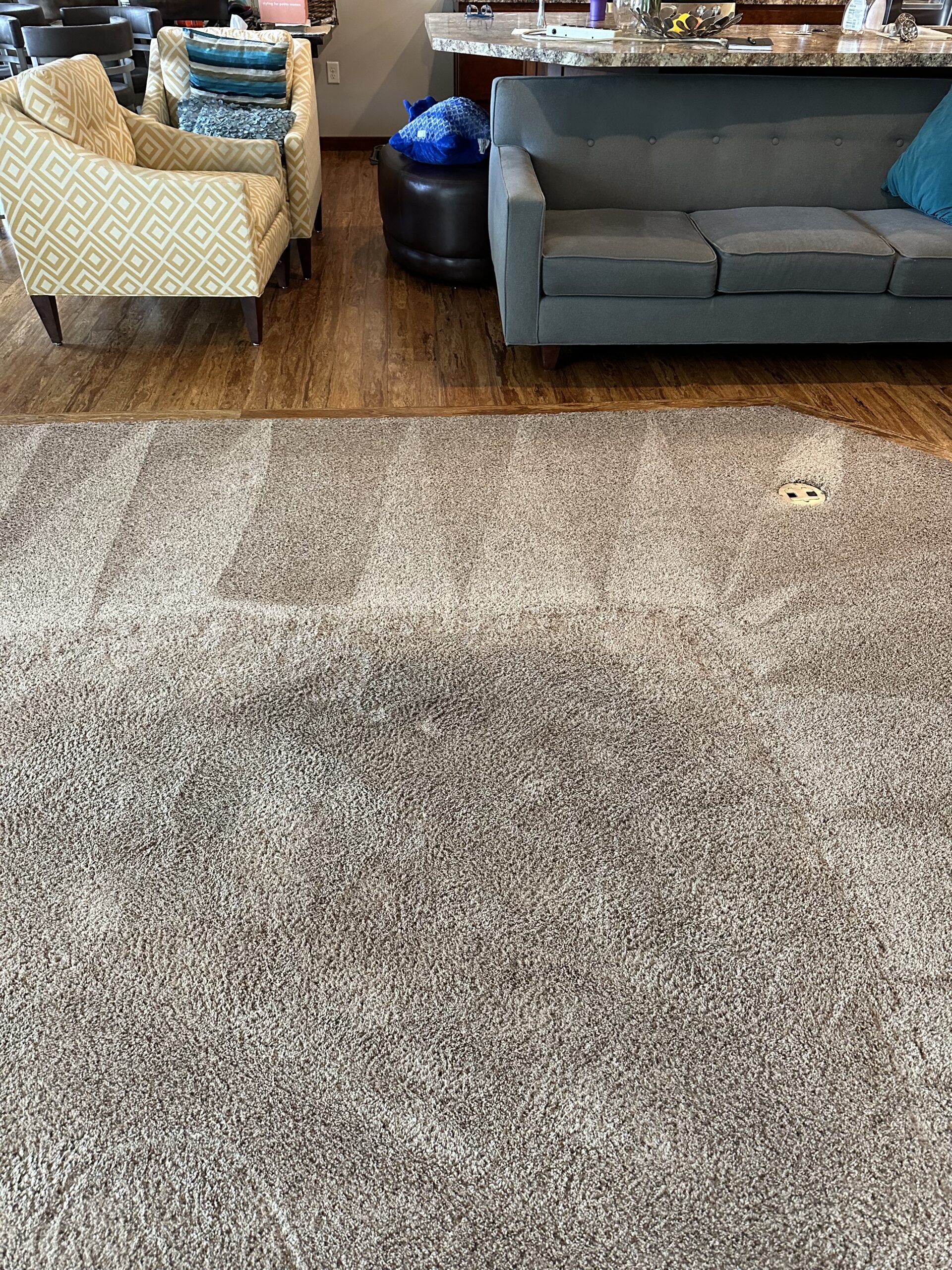 residential carpet cleaning in oregon