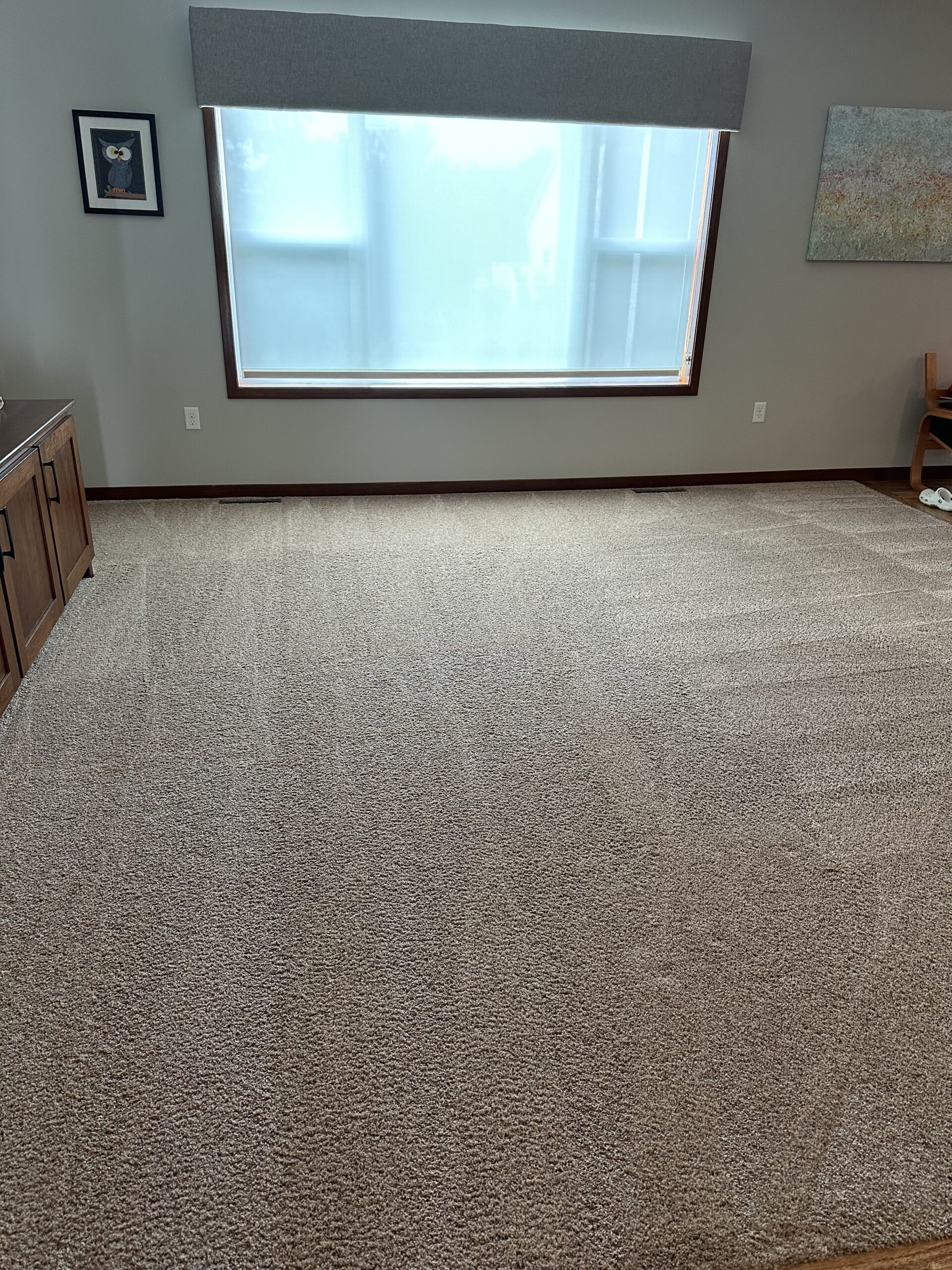 Oregon carpet cleaning project