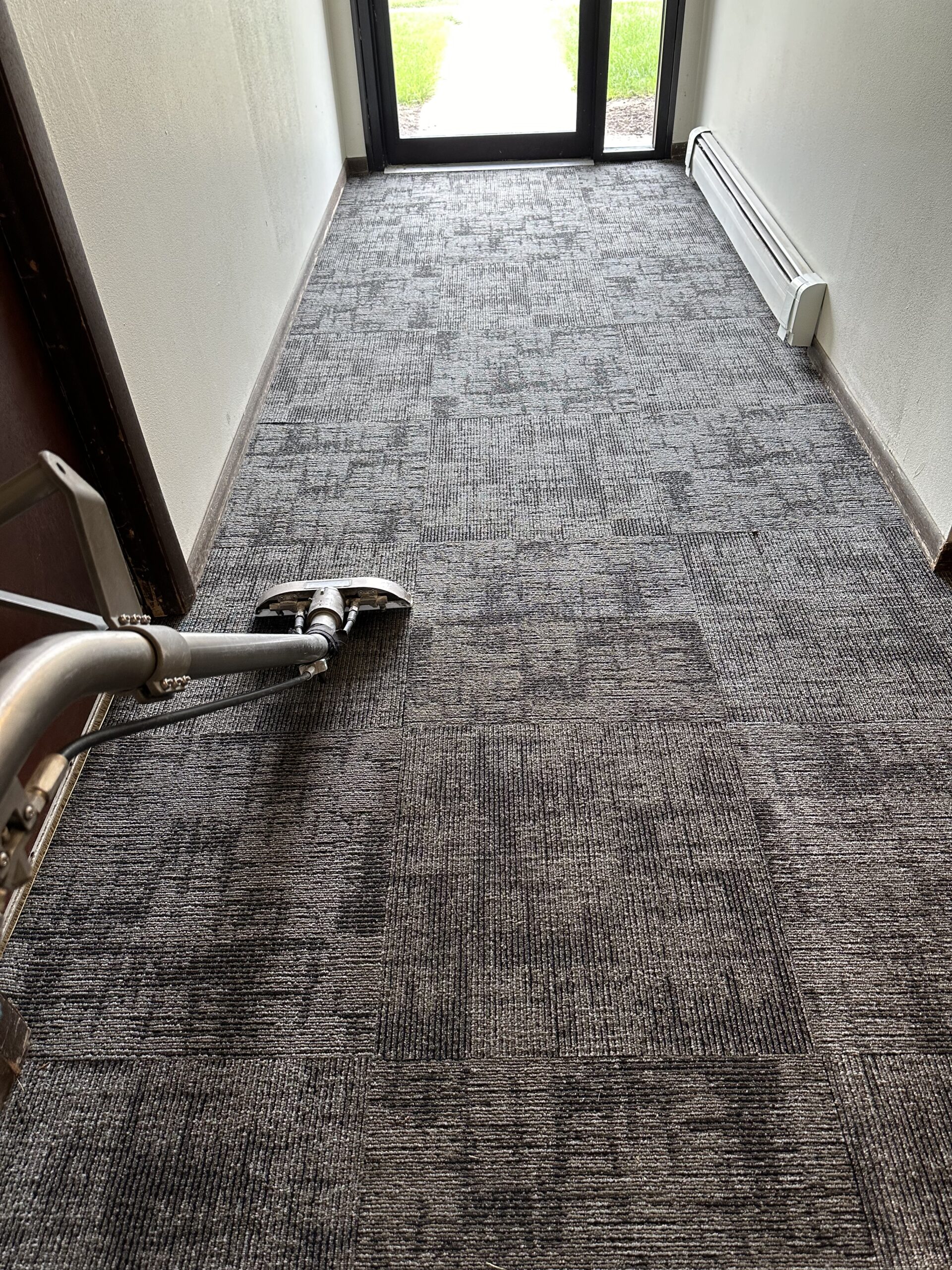 Middleton Apartment carpet cleaning project