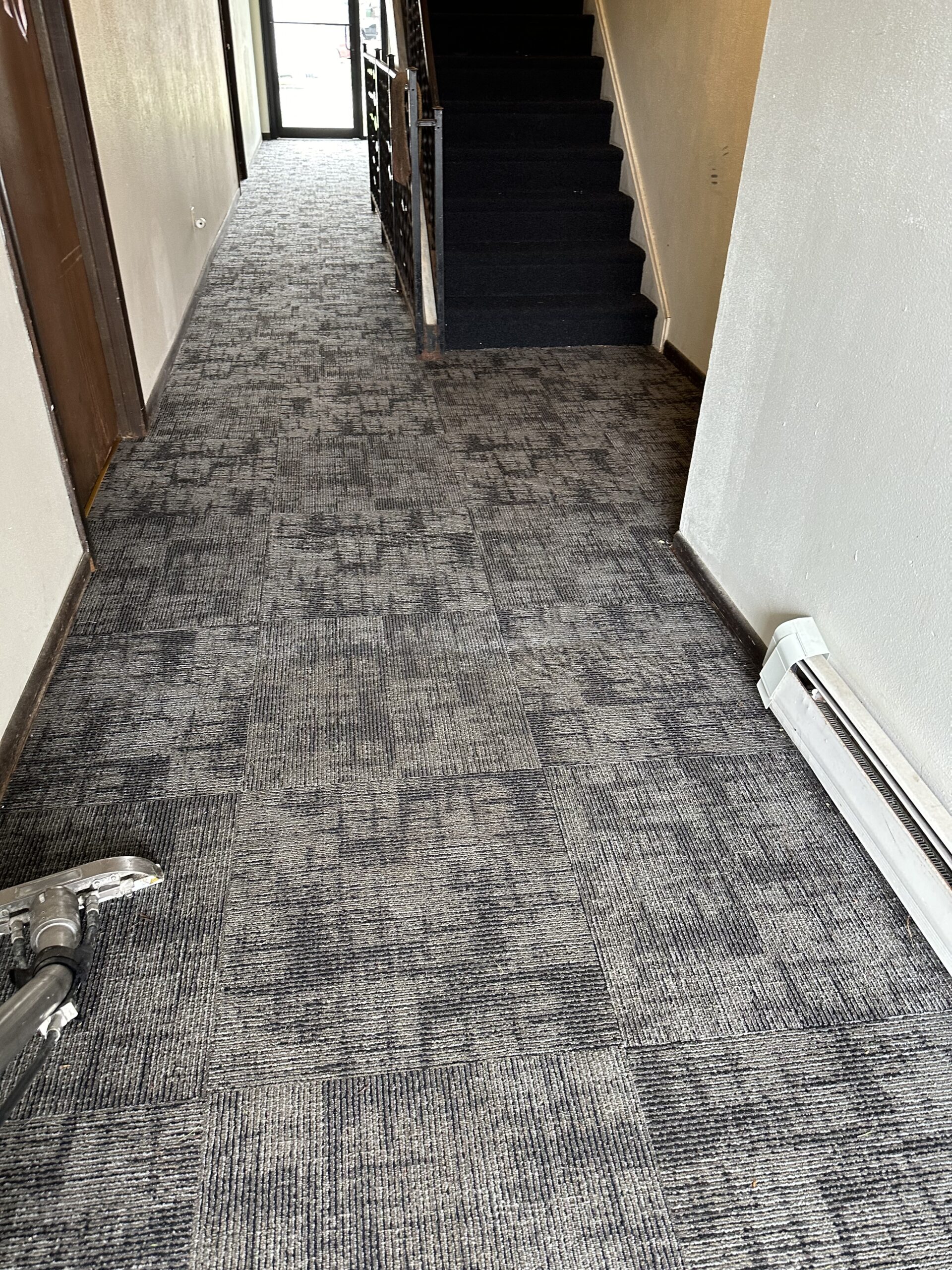 apartment carpet cleaning project in Middleton