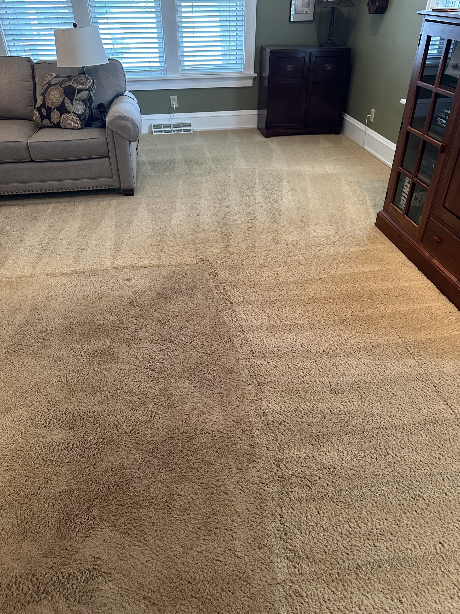 cottage grove residential carpet cleaning project