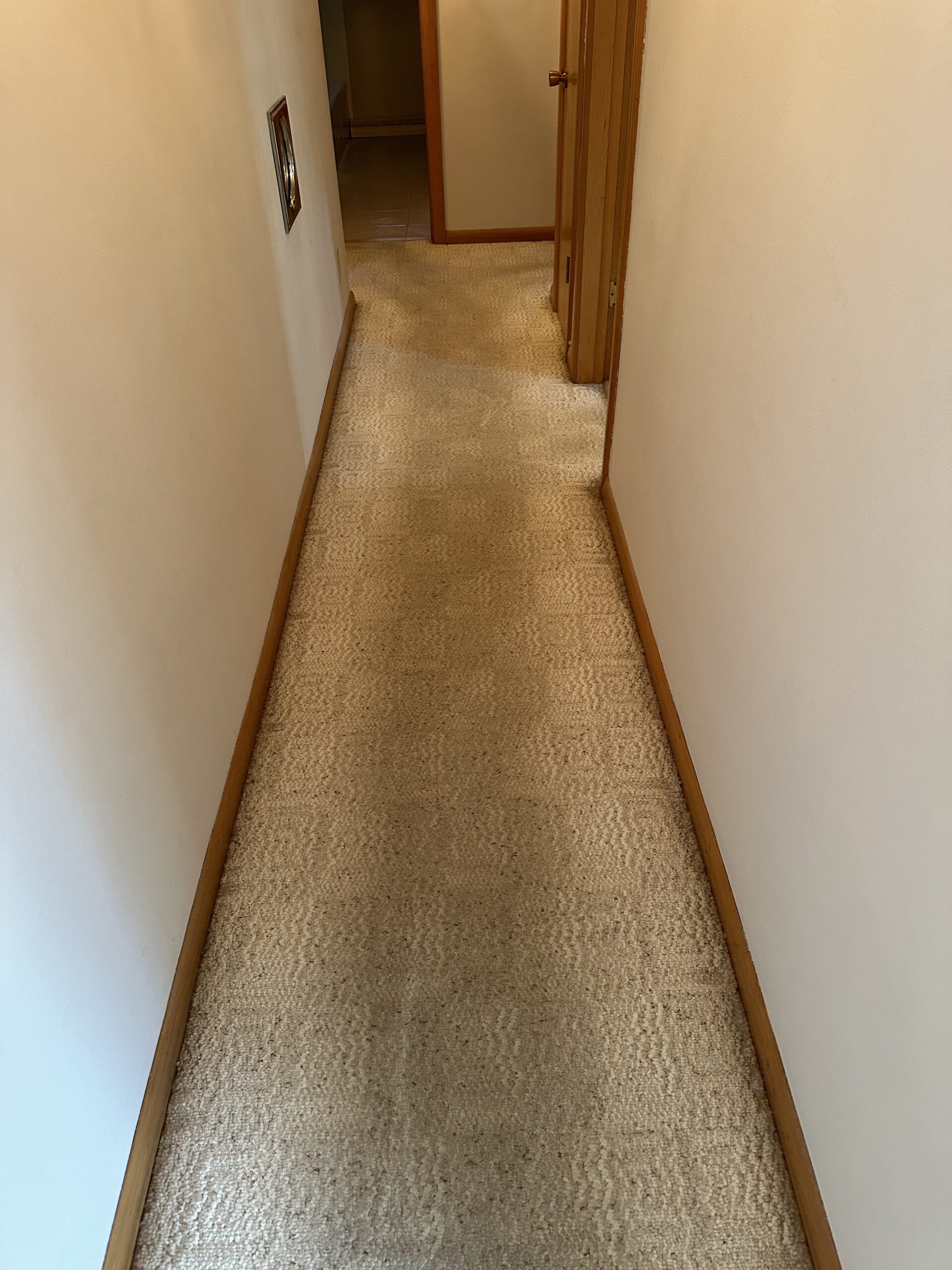 waunakee carpet cleaning project