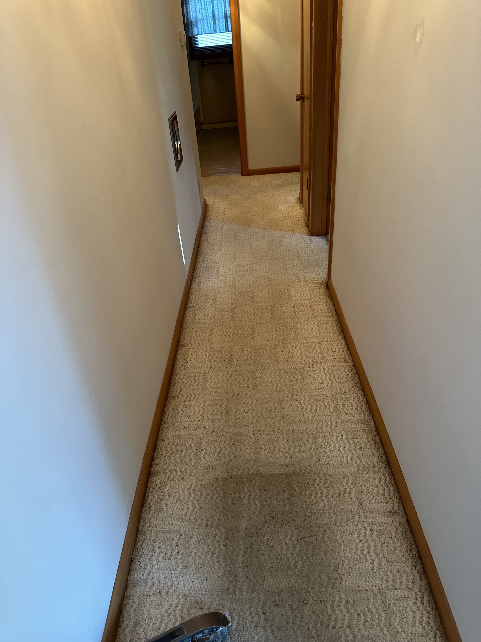 completed waunakee carpet cleaning project