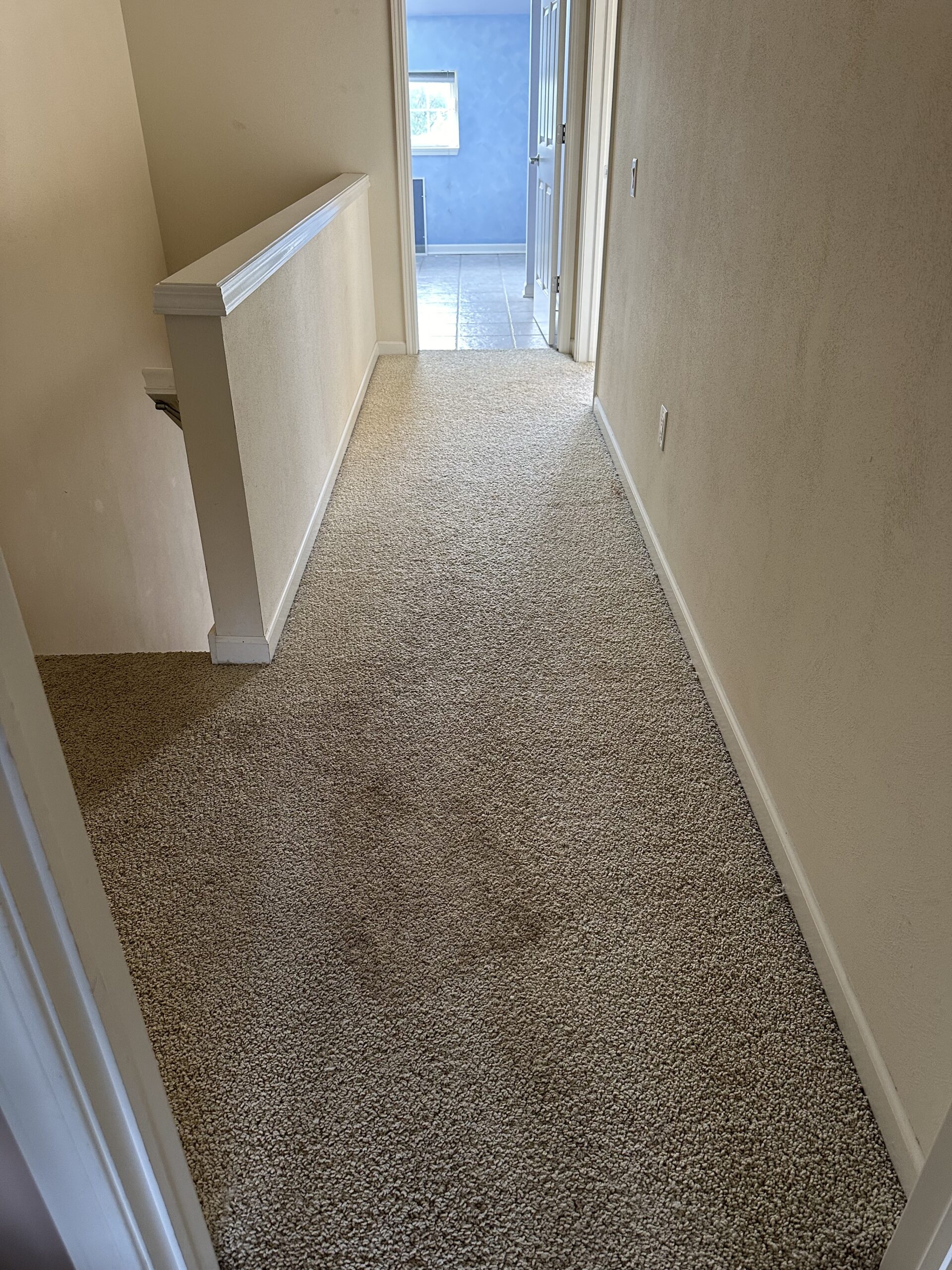 Completed stoughton condo carpet cleaning project