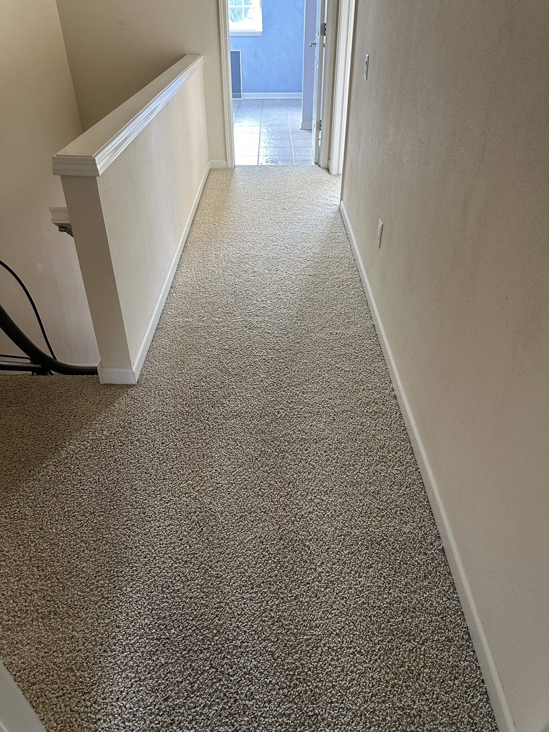 Condo carpet cleaning project in stoughton