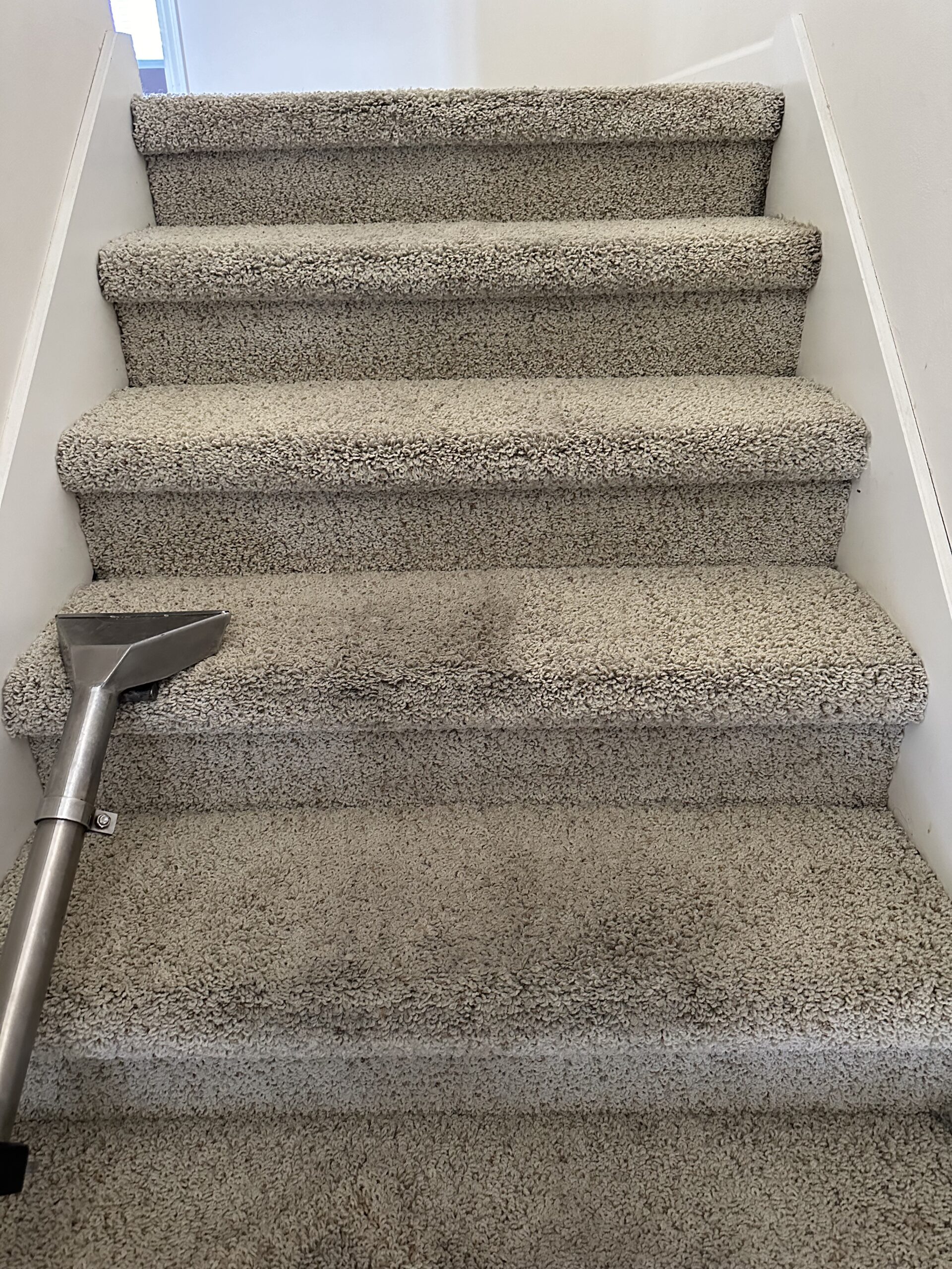 Stoughton condo carpet cleaning project