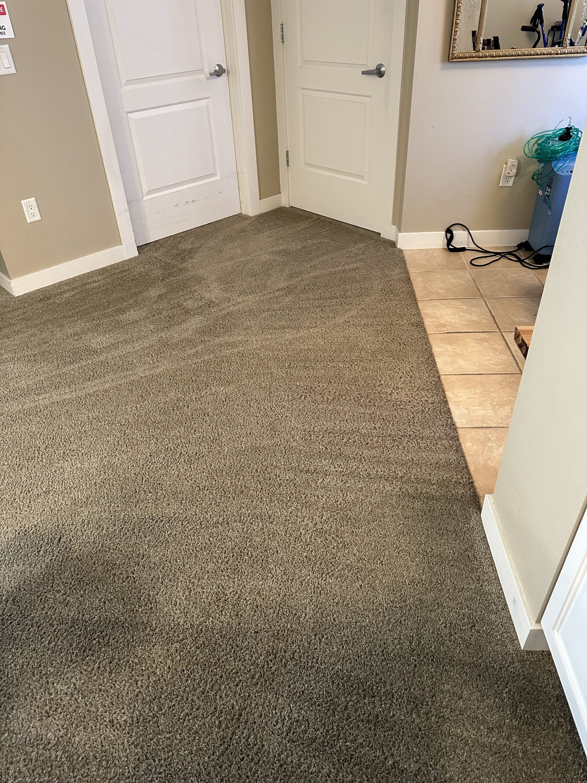 completed west Madison carpet cleaning project