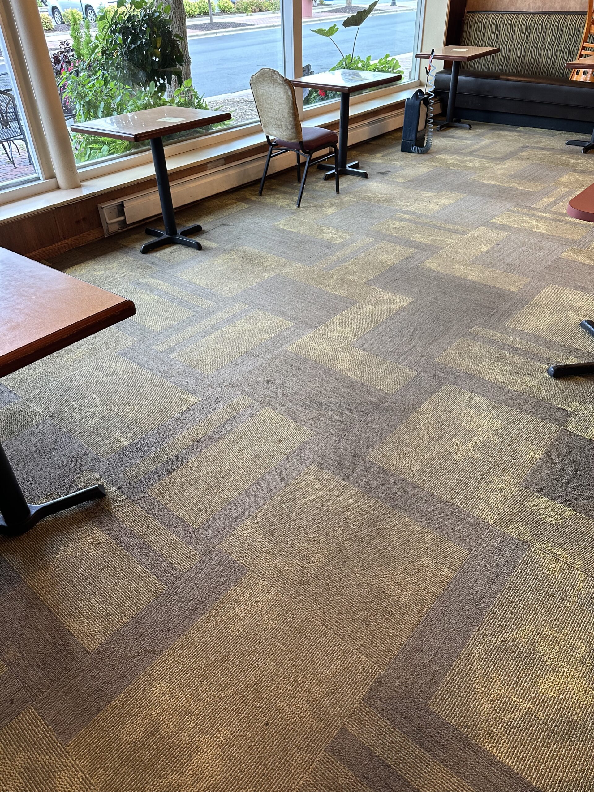 Professional Middleton restaurant carpet cleaning