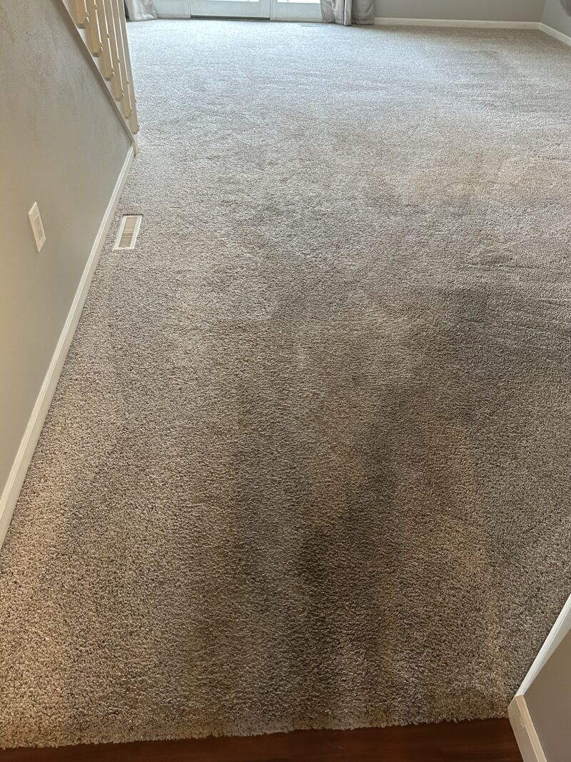 Verona Rental Carpet Steam Cleaning Project