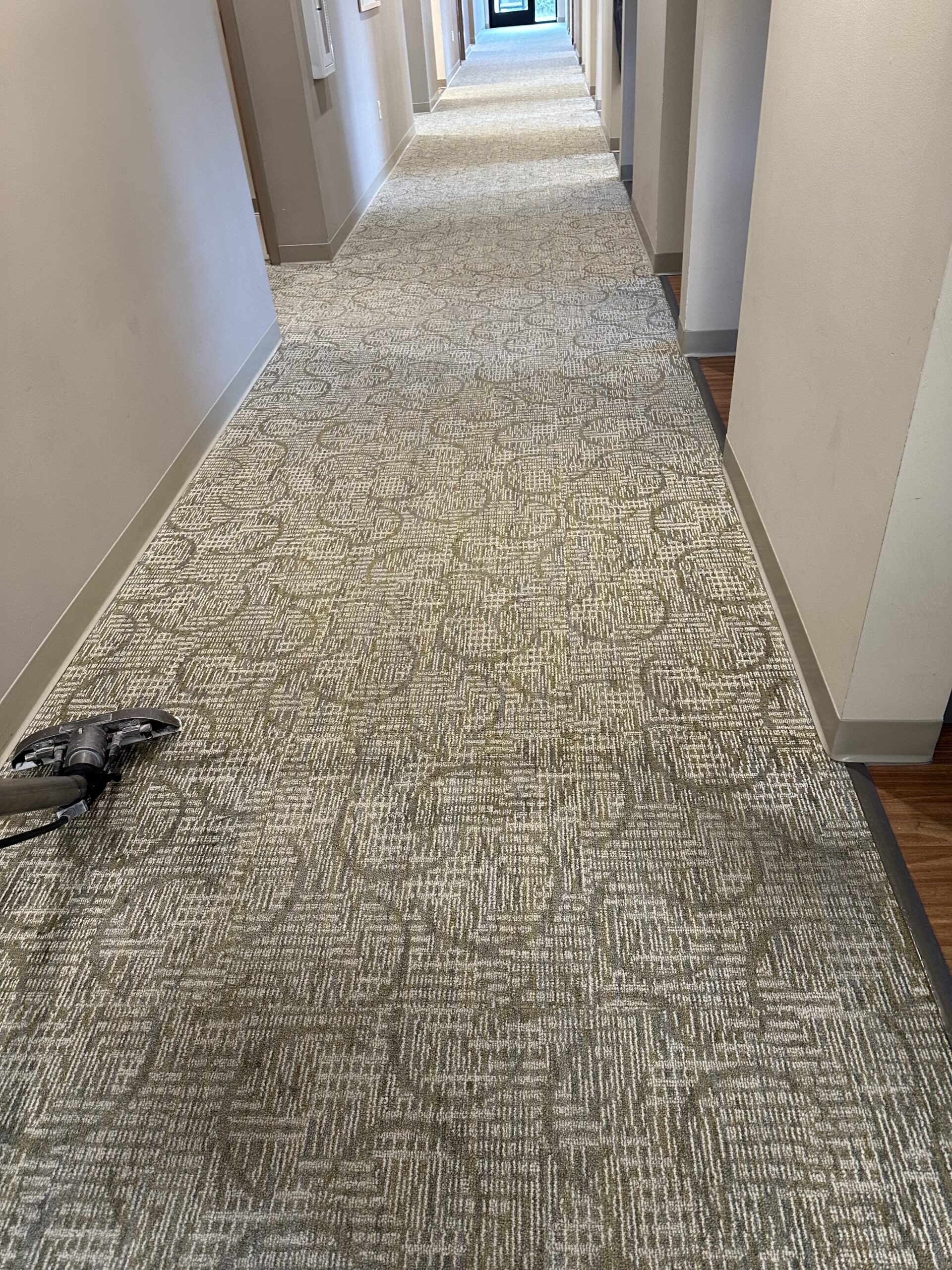 cleaning carpet at Stoughton dental office