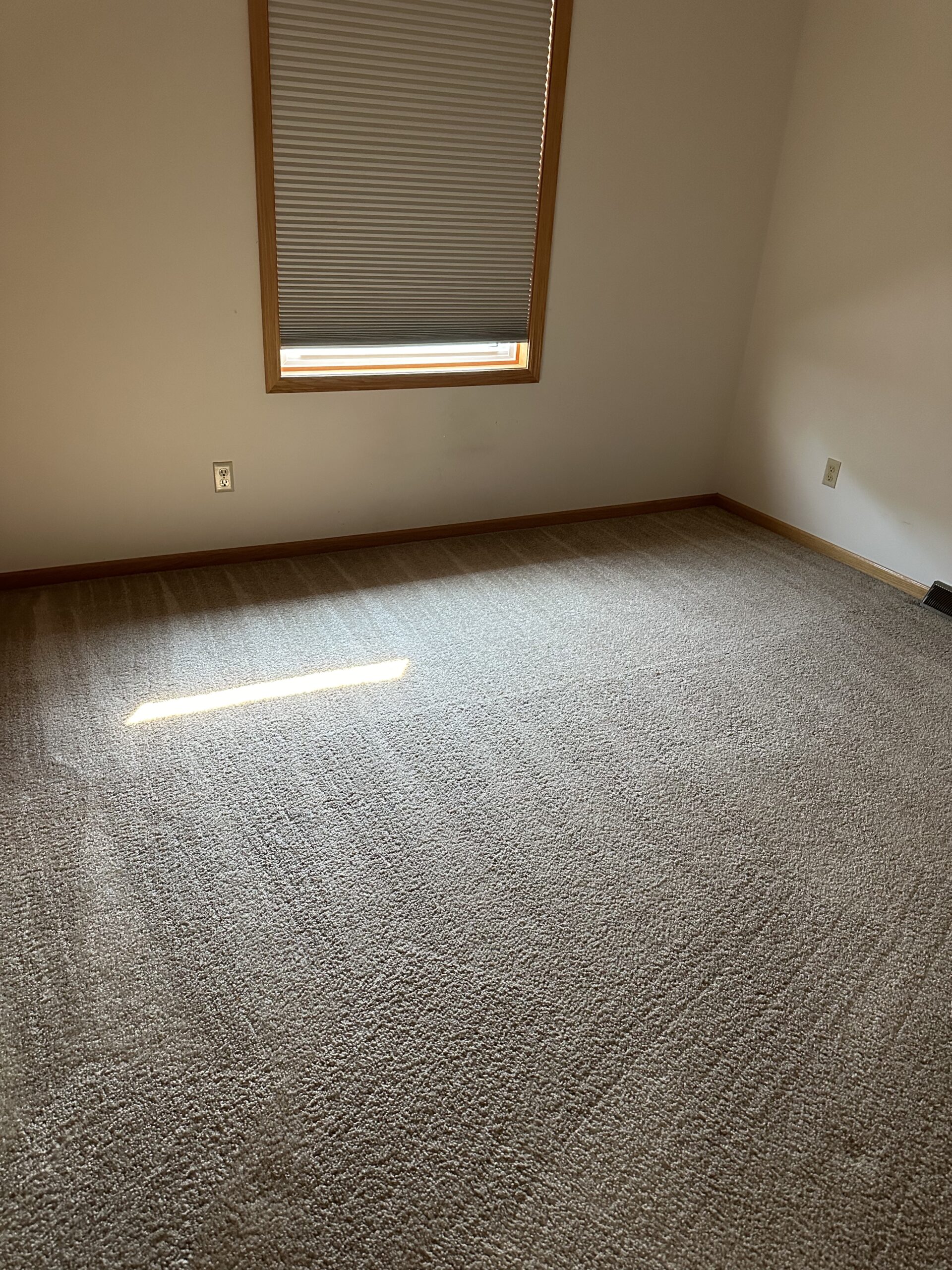 carpet cleaning project in West Madison