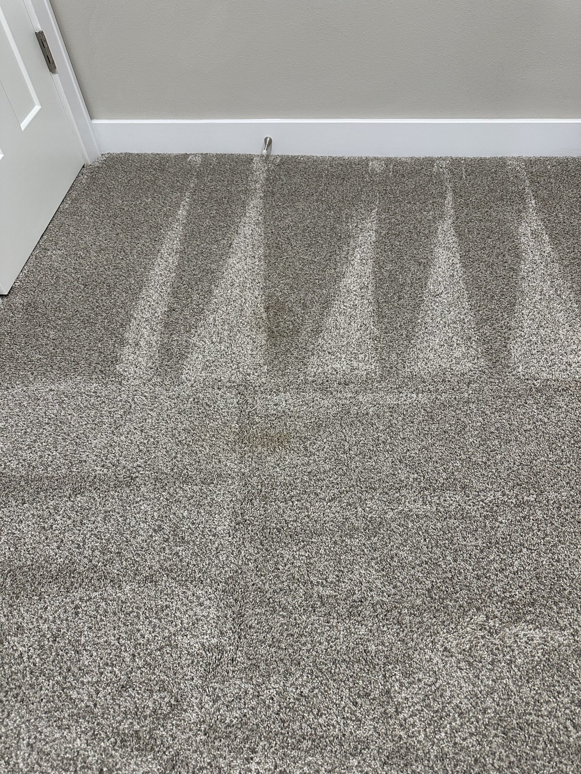 Oregon pet stain carpet cleaning project