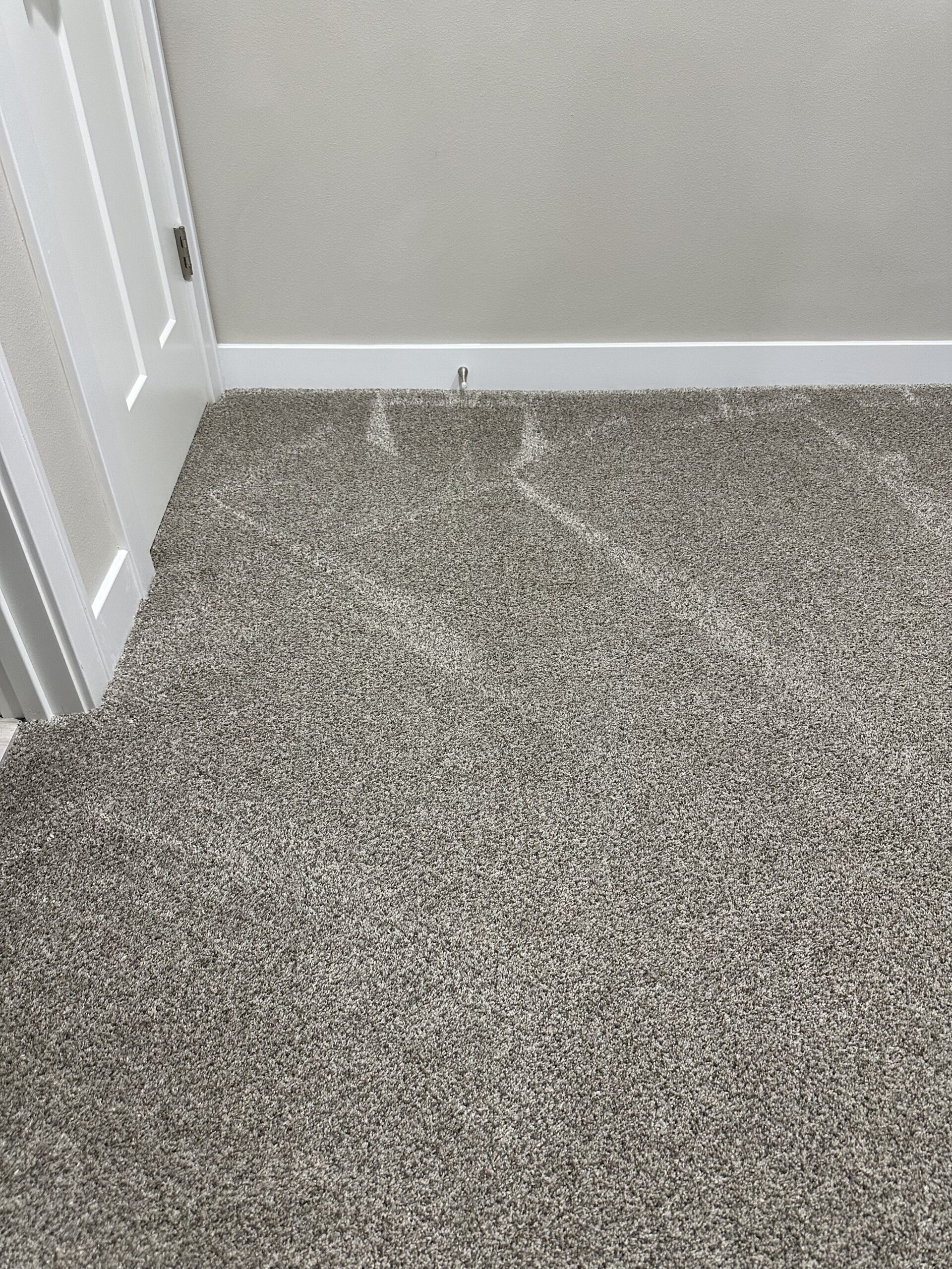 Oregon carpet cleaning