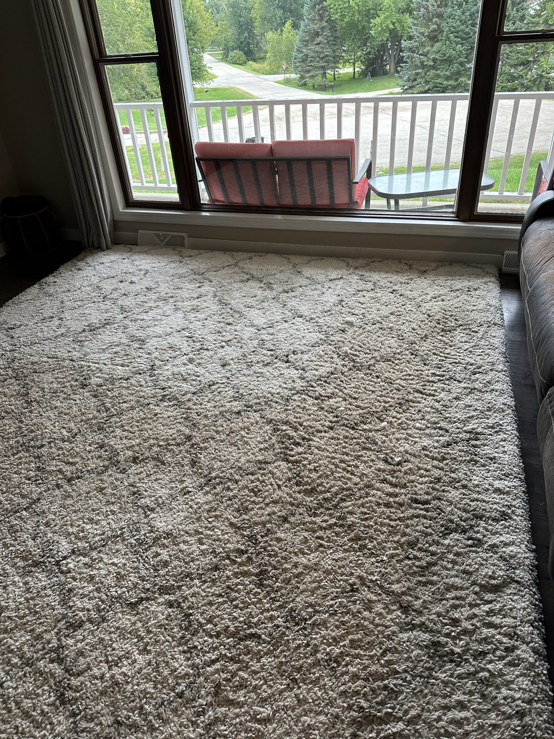 before Oregon residential carpet cleaning