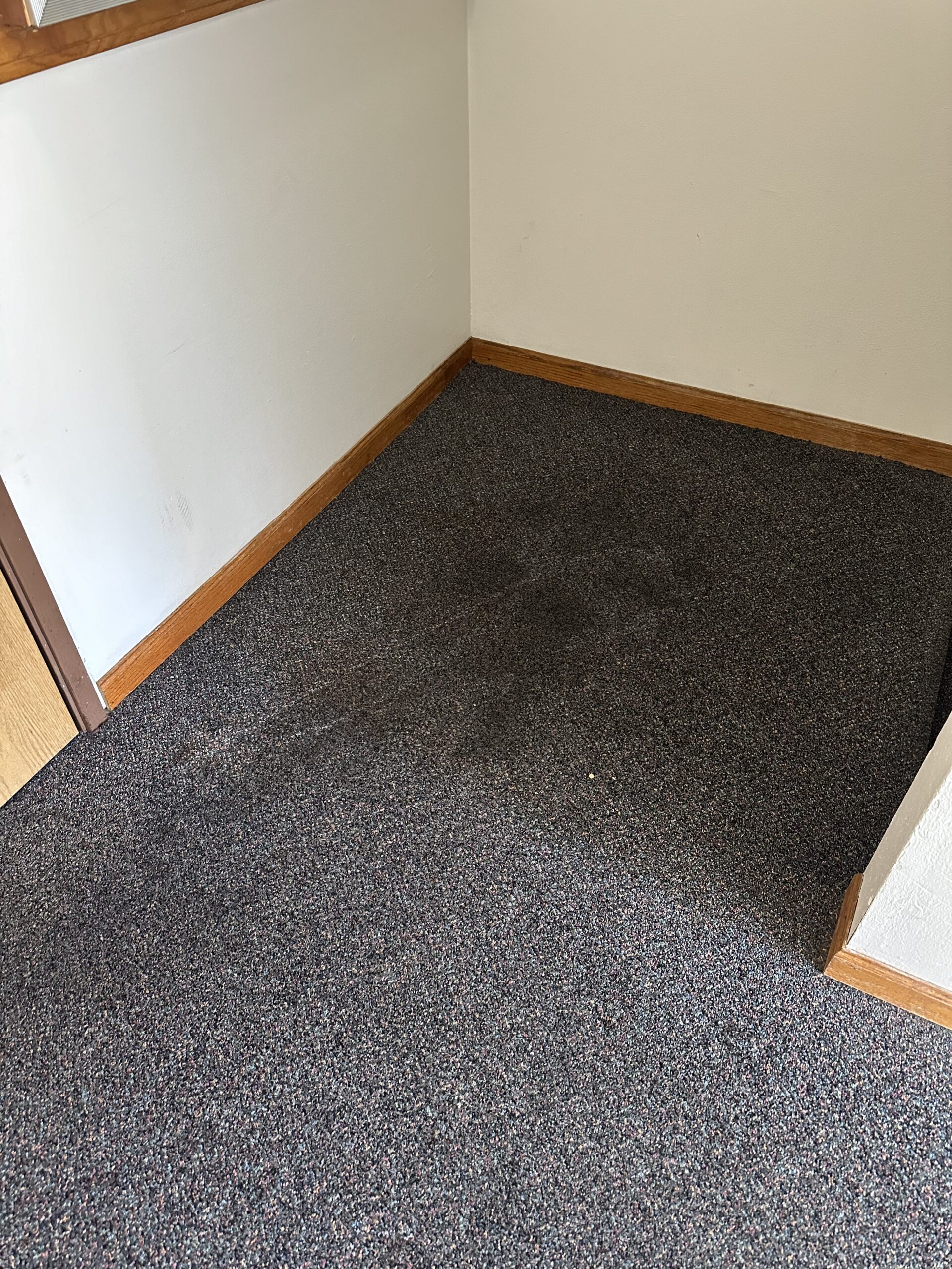 before madison apartment carpet cleaning