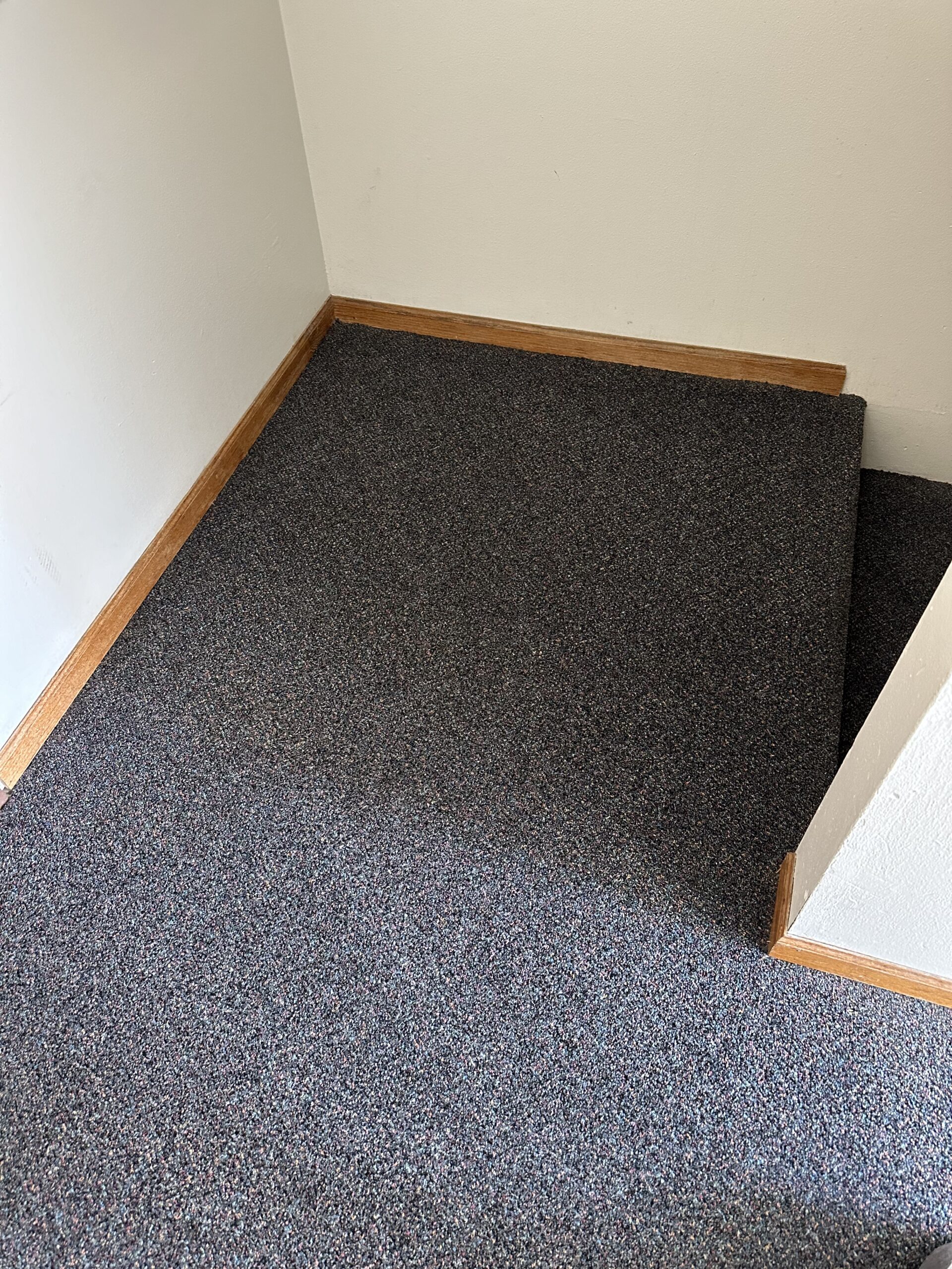 after apartment carpet cleaning project in Madison