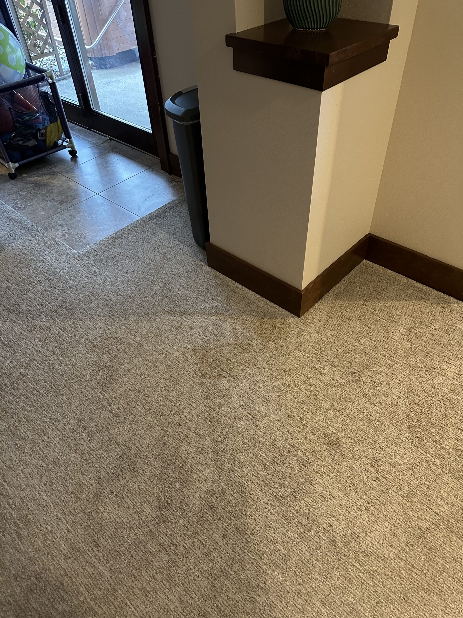 before verona residential carpet cleaning work