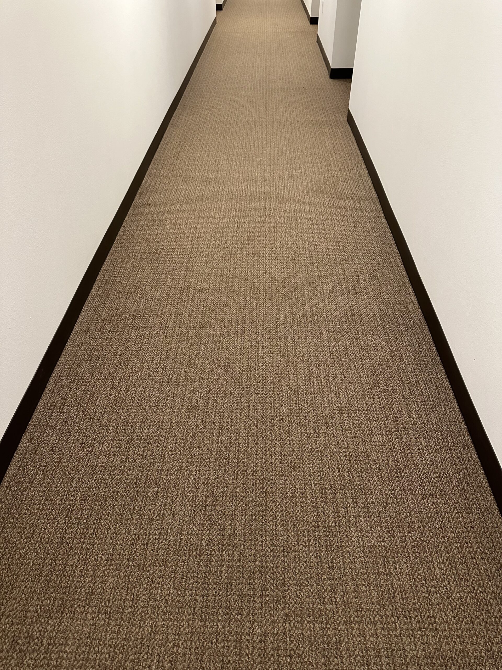 commercial carpet cleaning project at apartment building