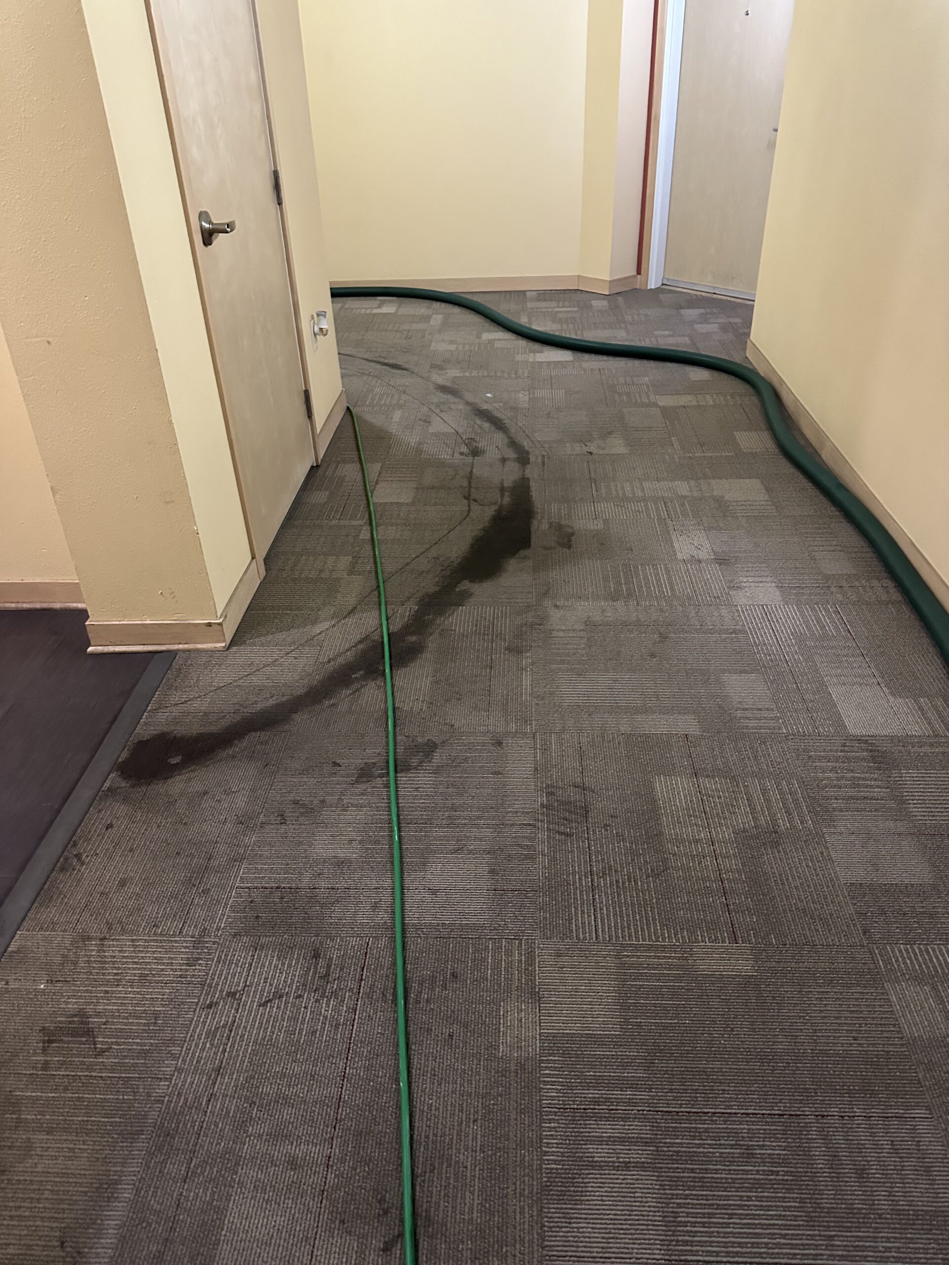 IMG_3731 Overlook at Midtown carpet cleaning project - before