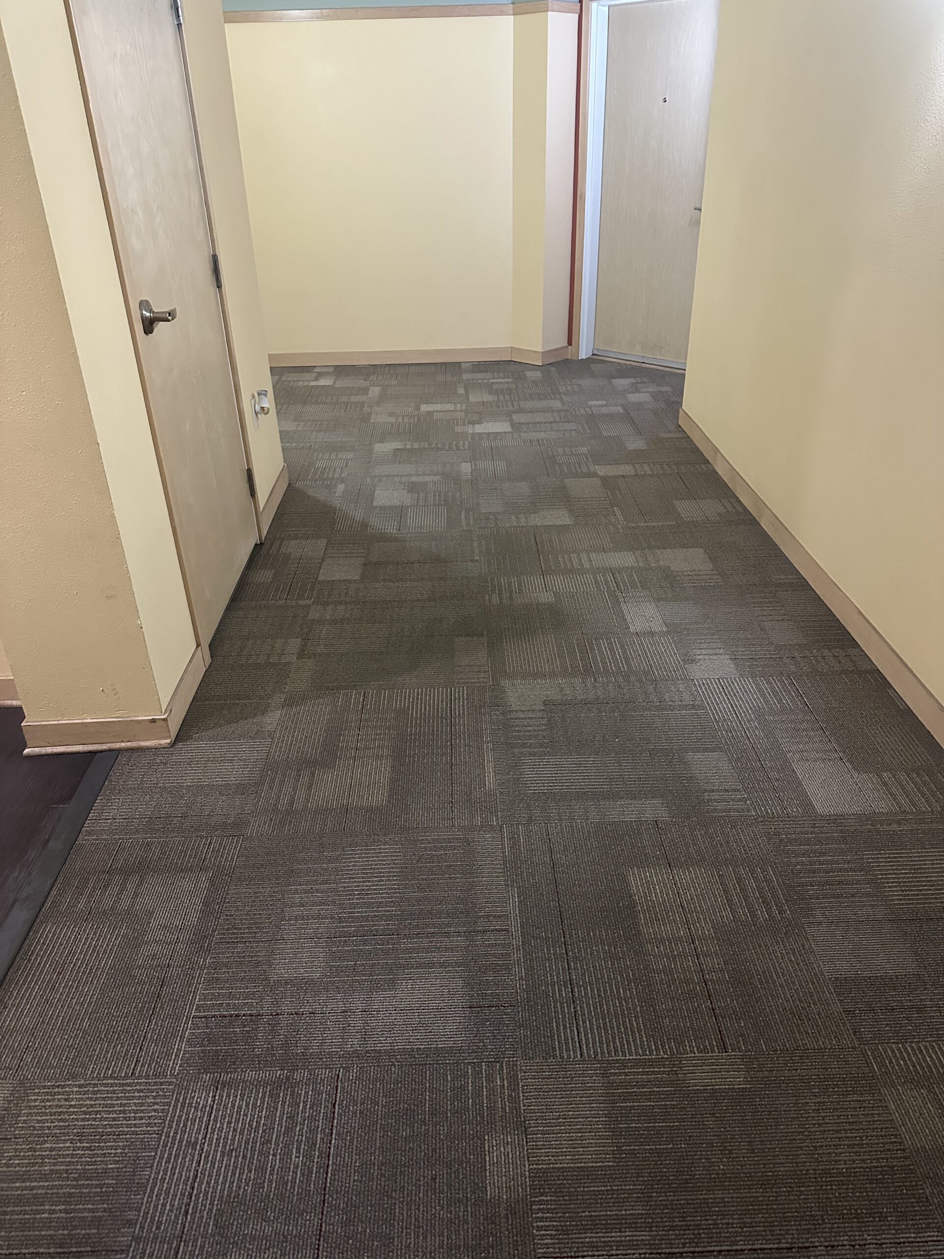 IMG_3732 Overlook at Midtown apartment carpet cleaning - after