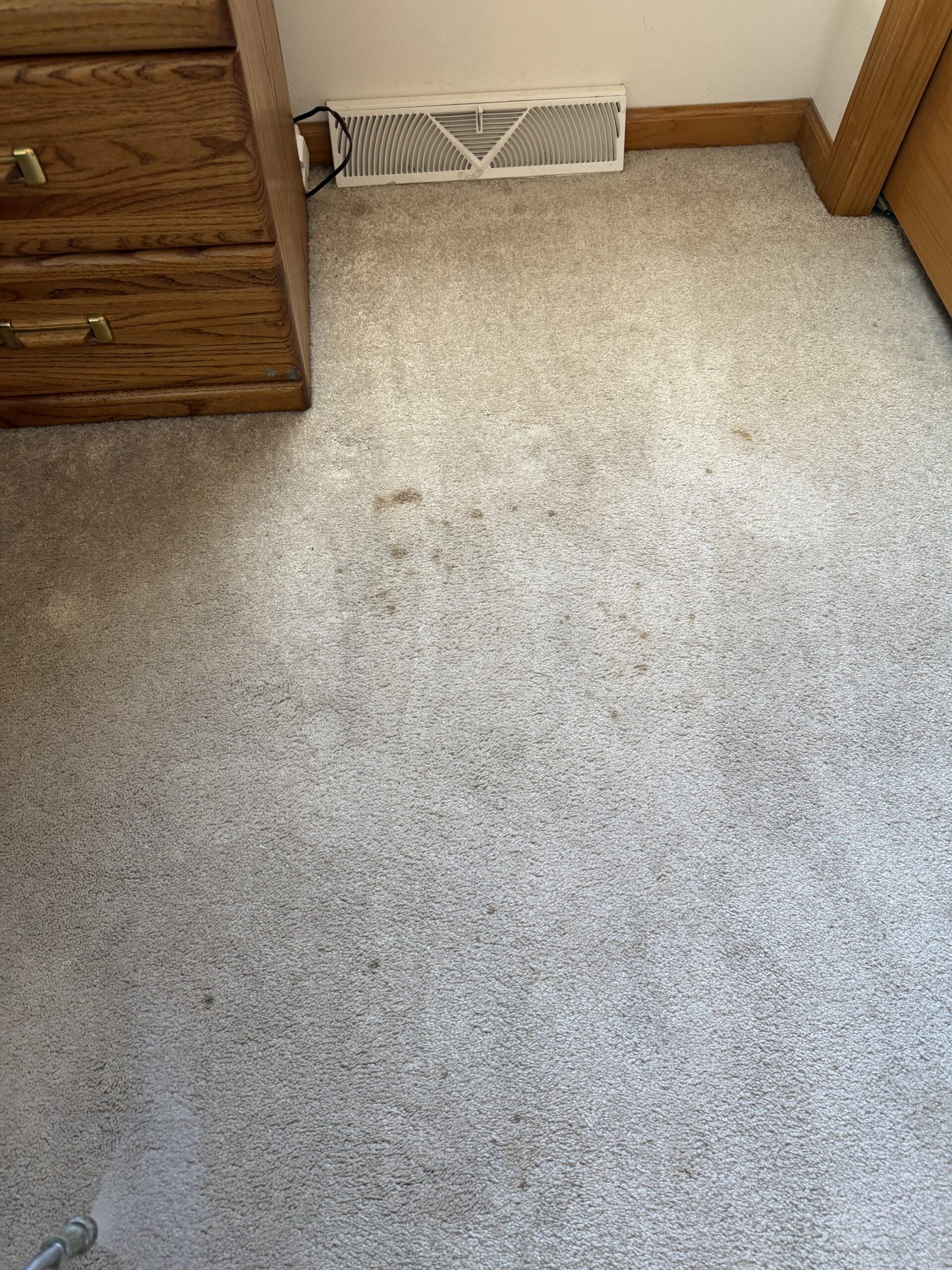 Fitchburg Carpet Cleaning 2 (1)