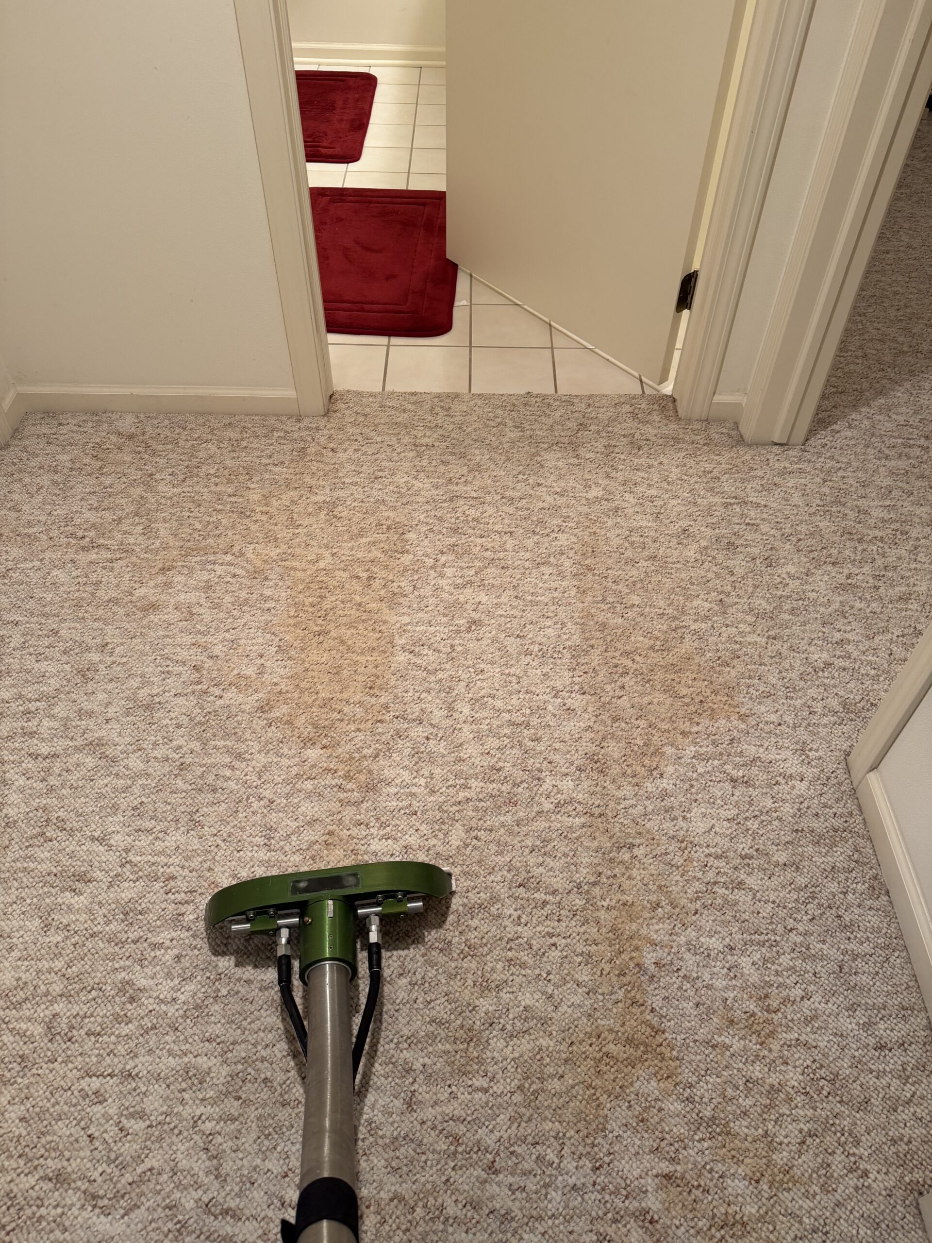Verona Carpet Care (1) verona carpet cleaning project