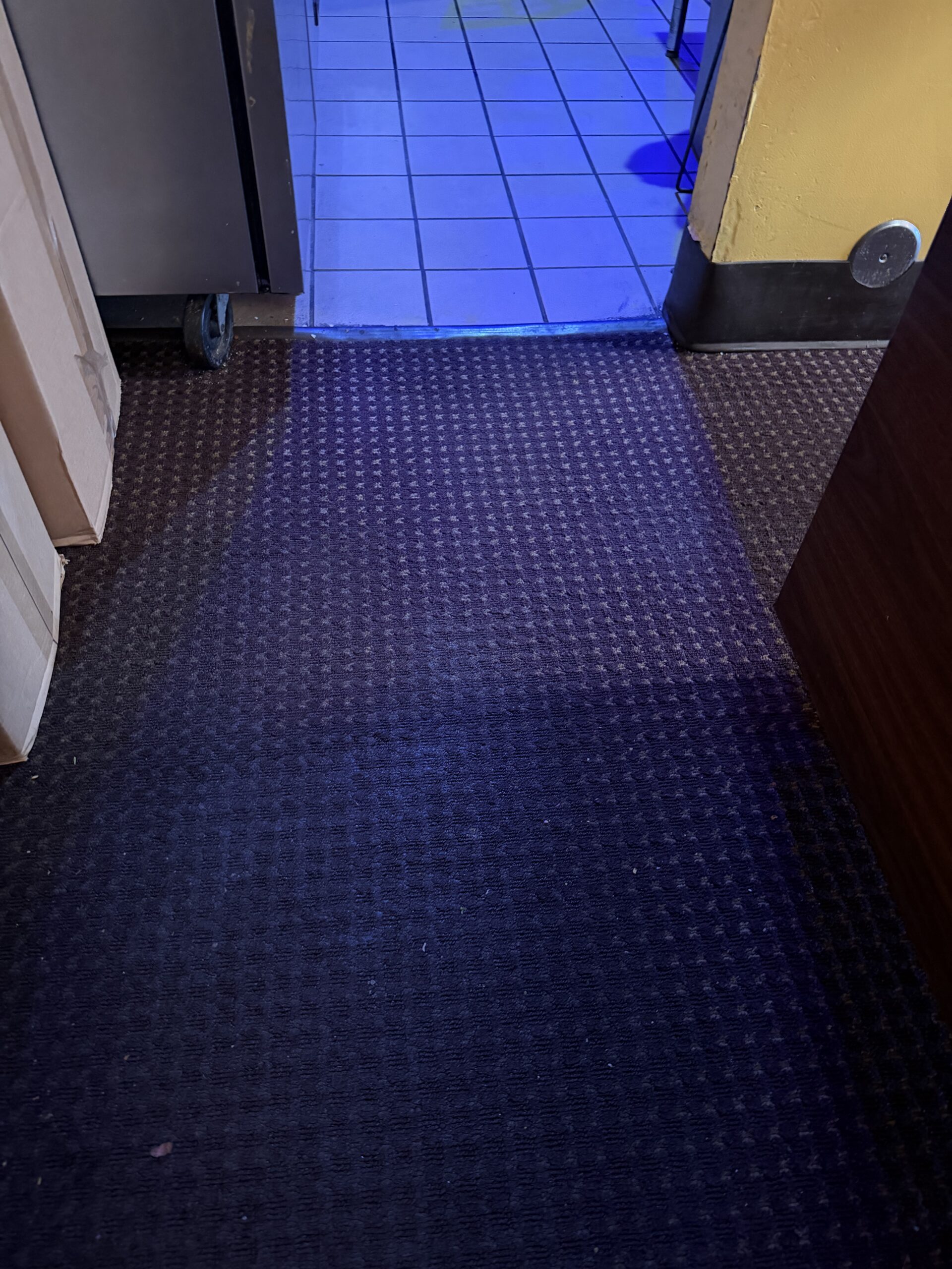 IMG_6415 Madison restaurant with dirty carpet