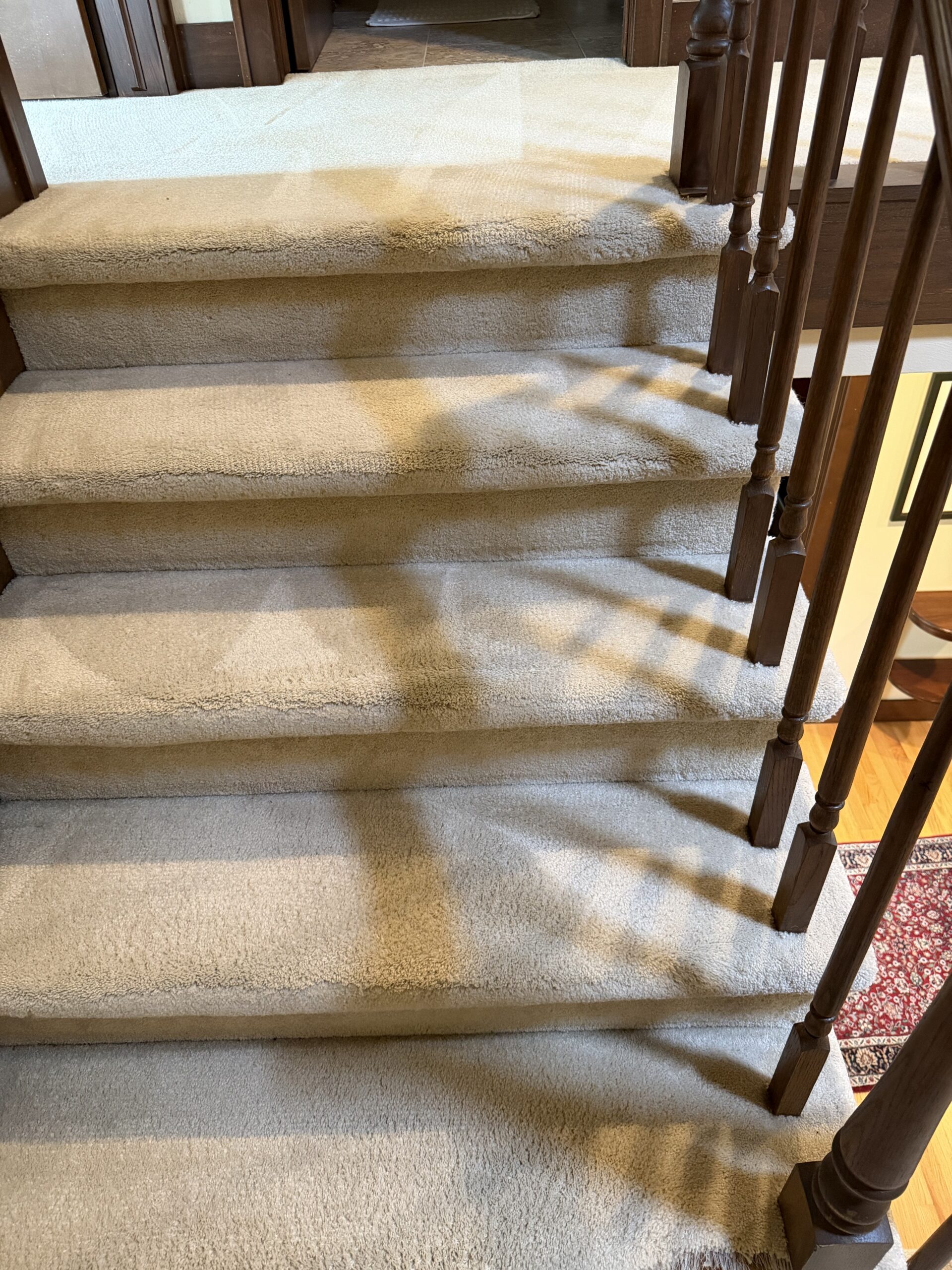 IMG_6558 carpet cleaning project in Waunakee