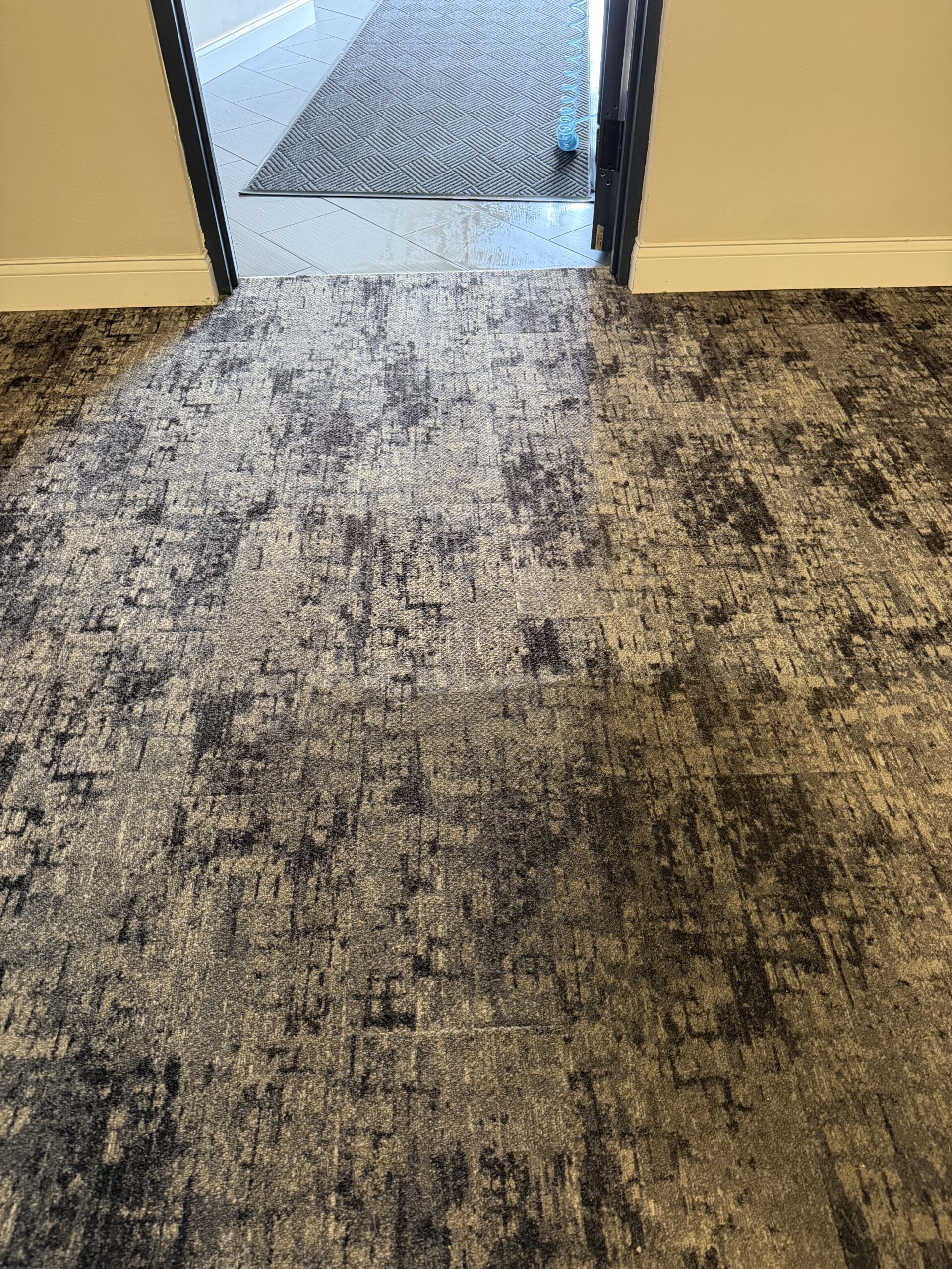 Fitchburg Apartment Complex Cleaning carpet cleaning project for an apartment in Fitchburg, WI