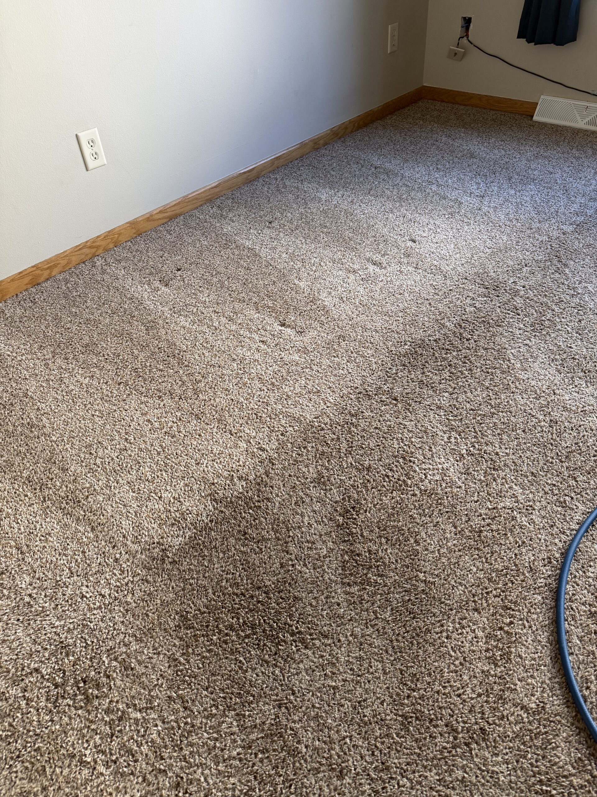 Stoughton Condo Carpet Cleaning 1 (1) condo carpet cleaning project in Stoughton