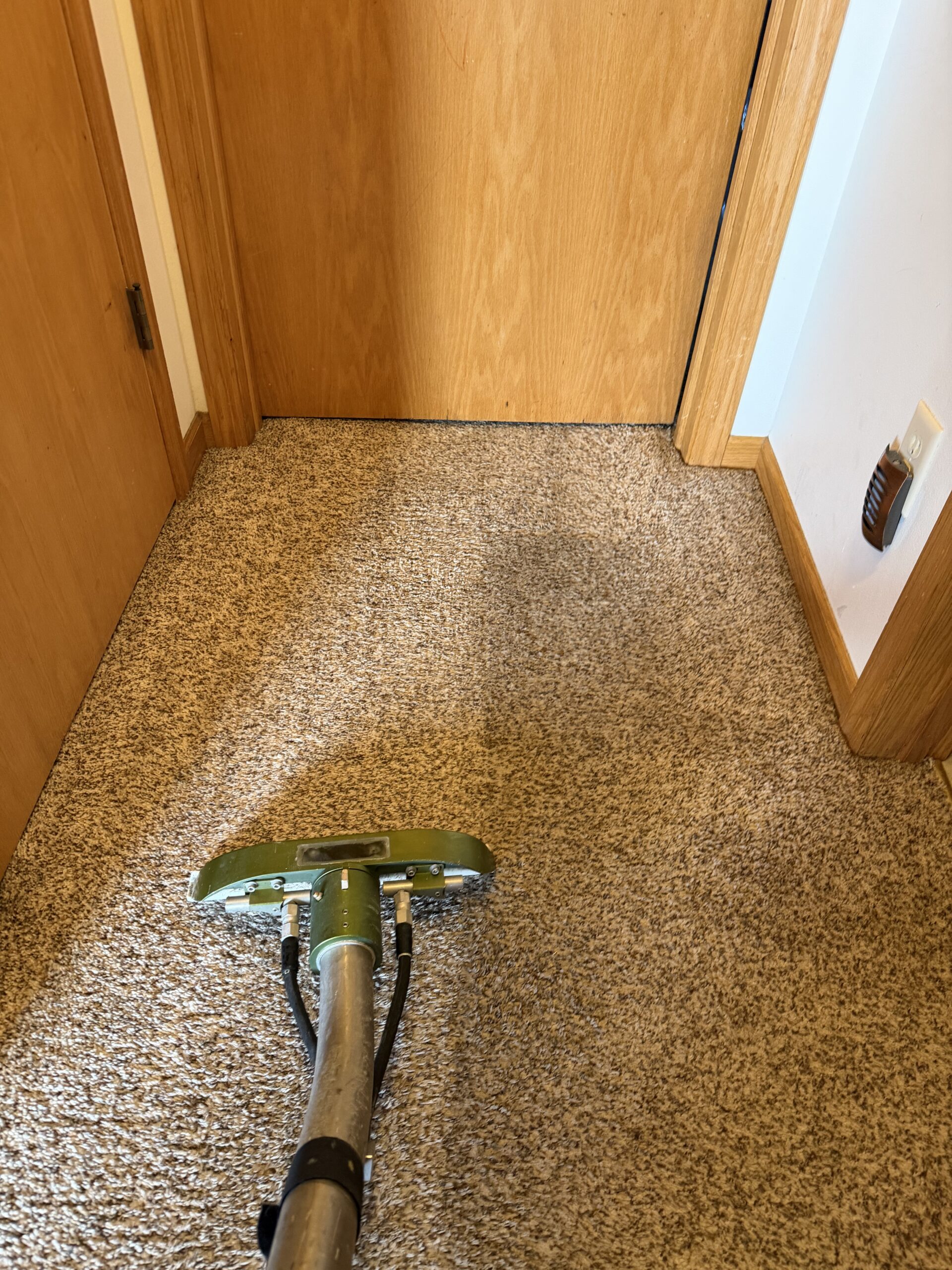 Stoughton Condo Carpet Cleaning 2 (1)