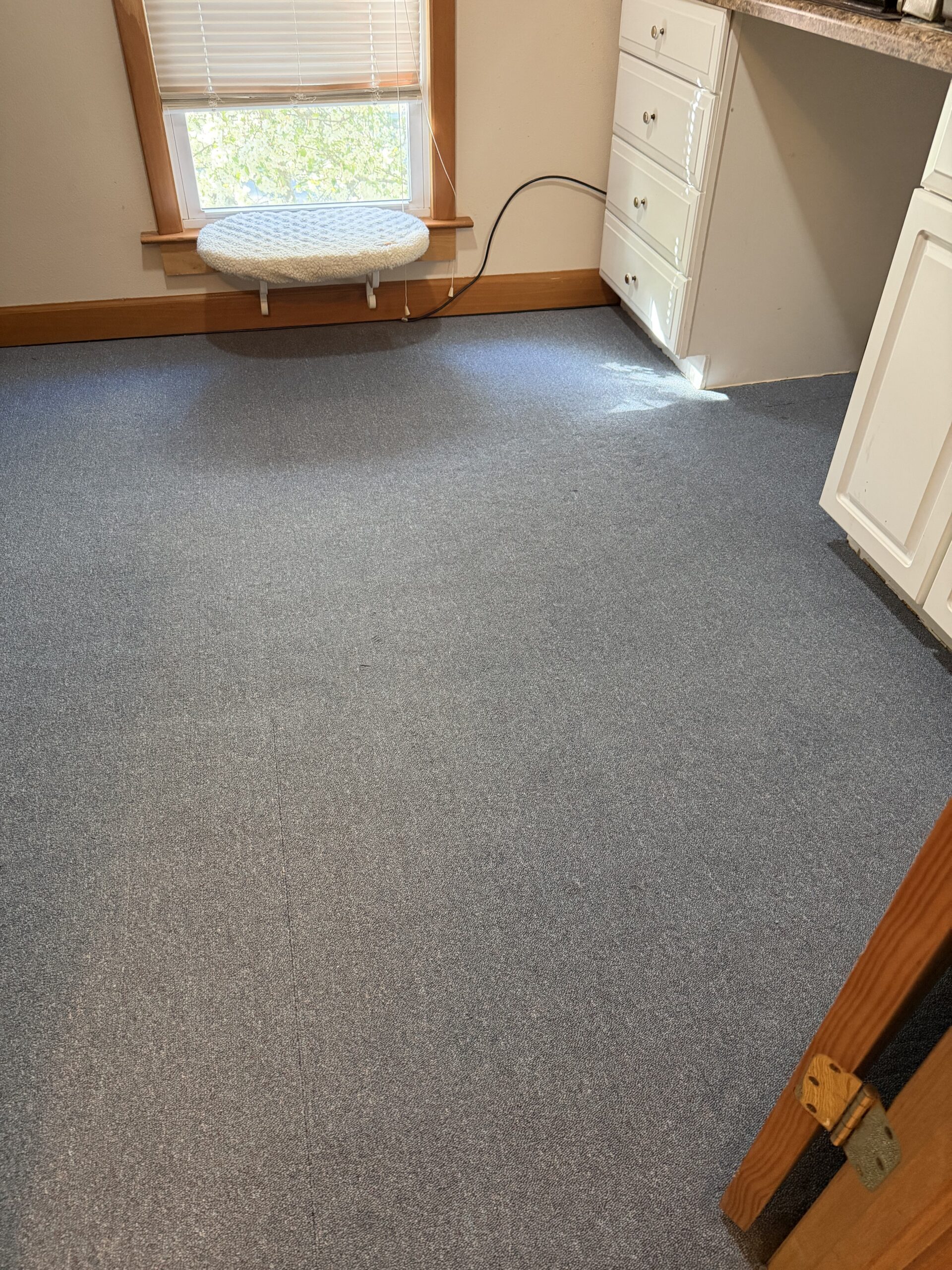 deforest bedroom carpet after cleaning project