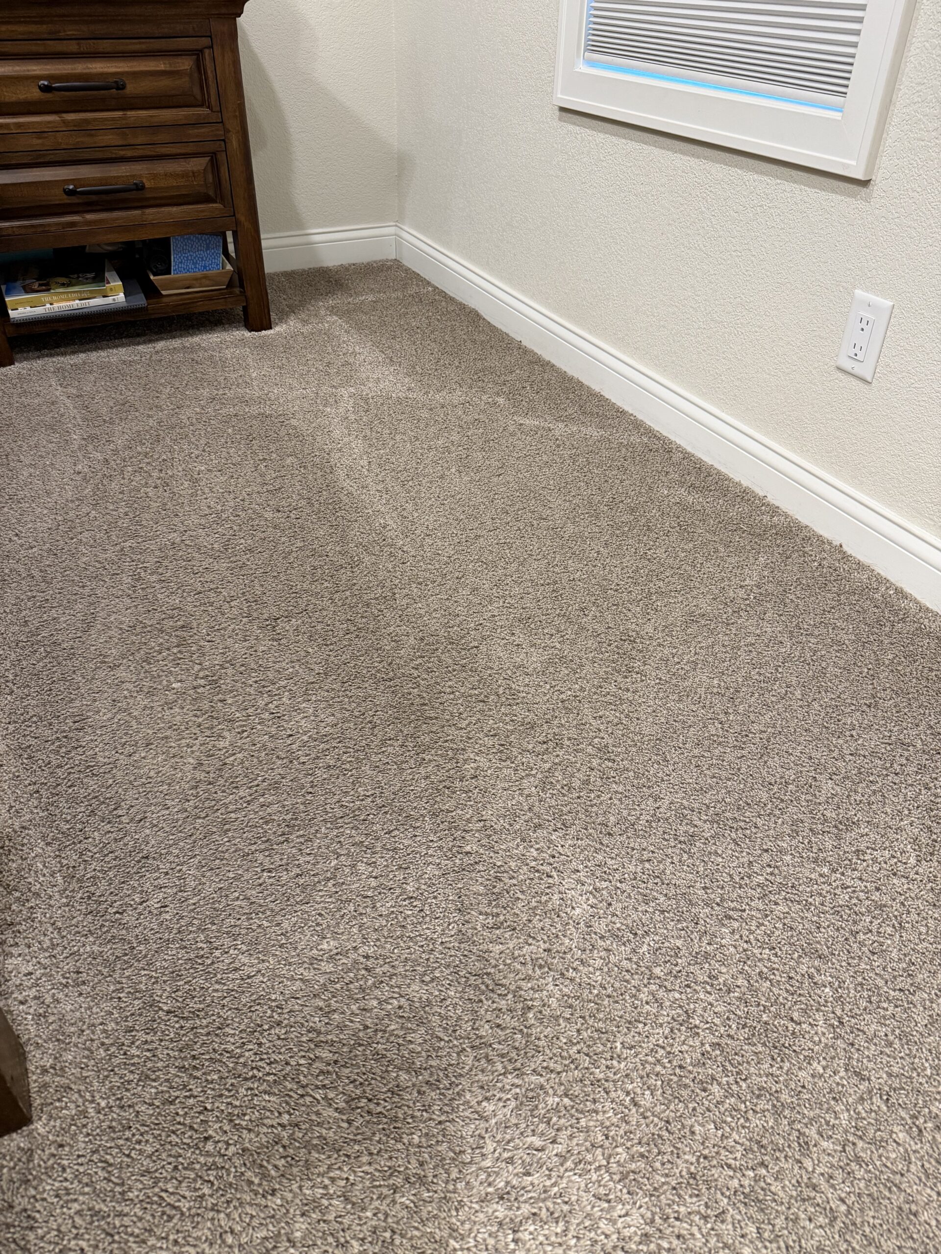 Pet stain clean up in Cambridge, WI