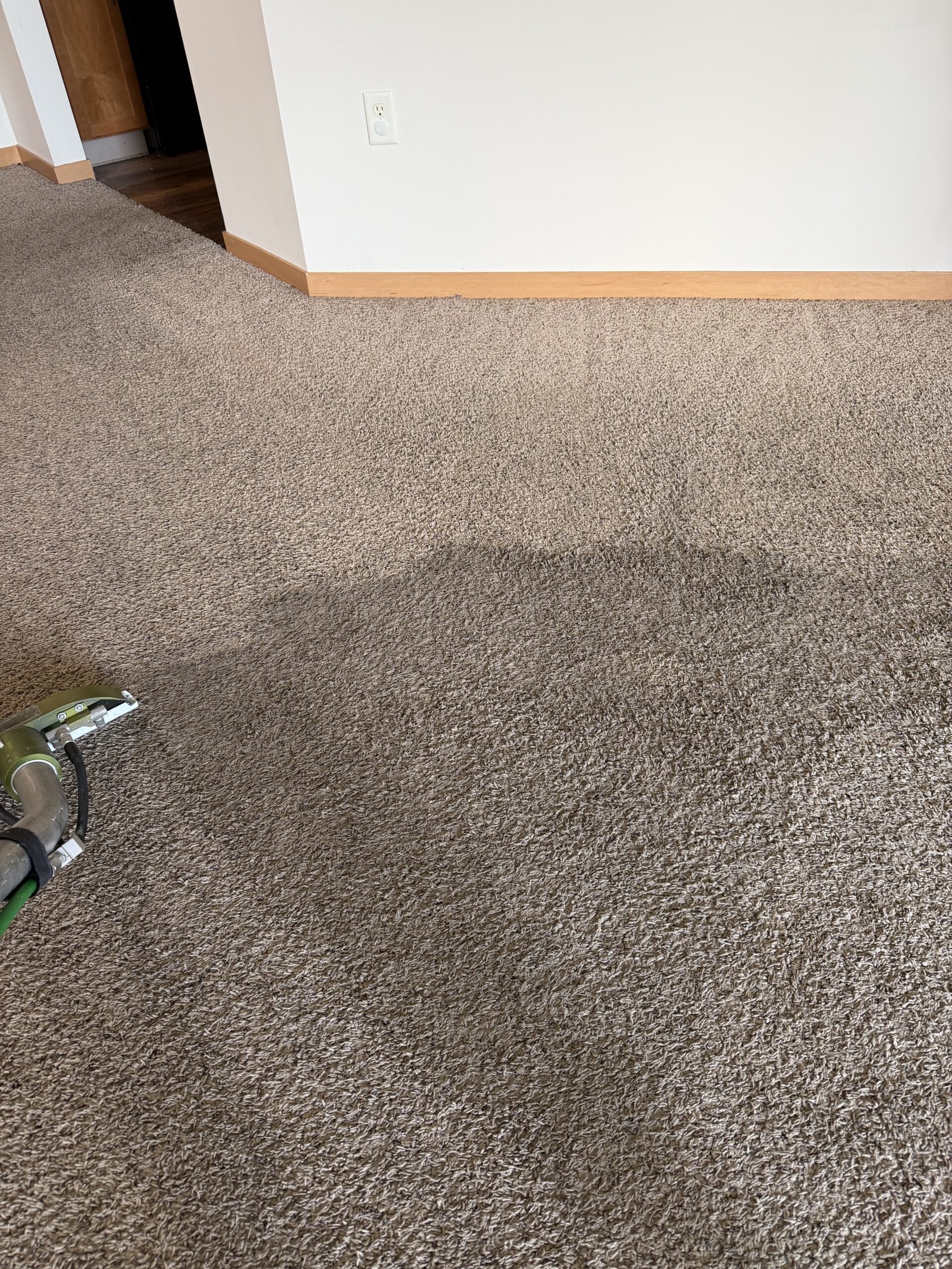 east side puresteam carpet East Side of Madison carpet cleaning project