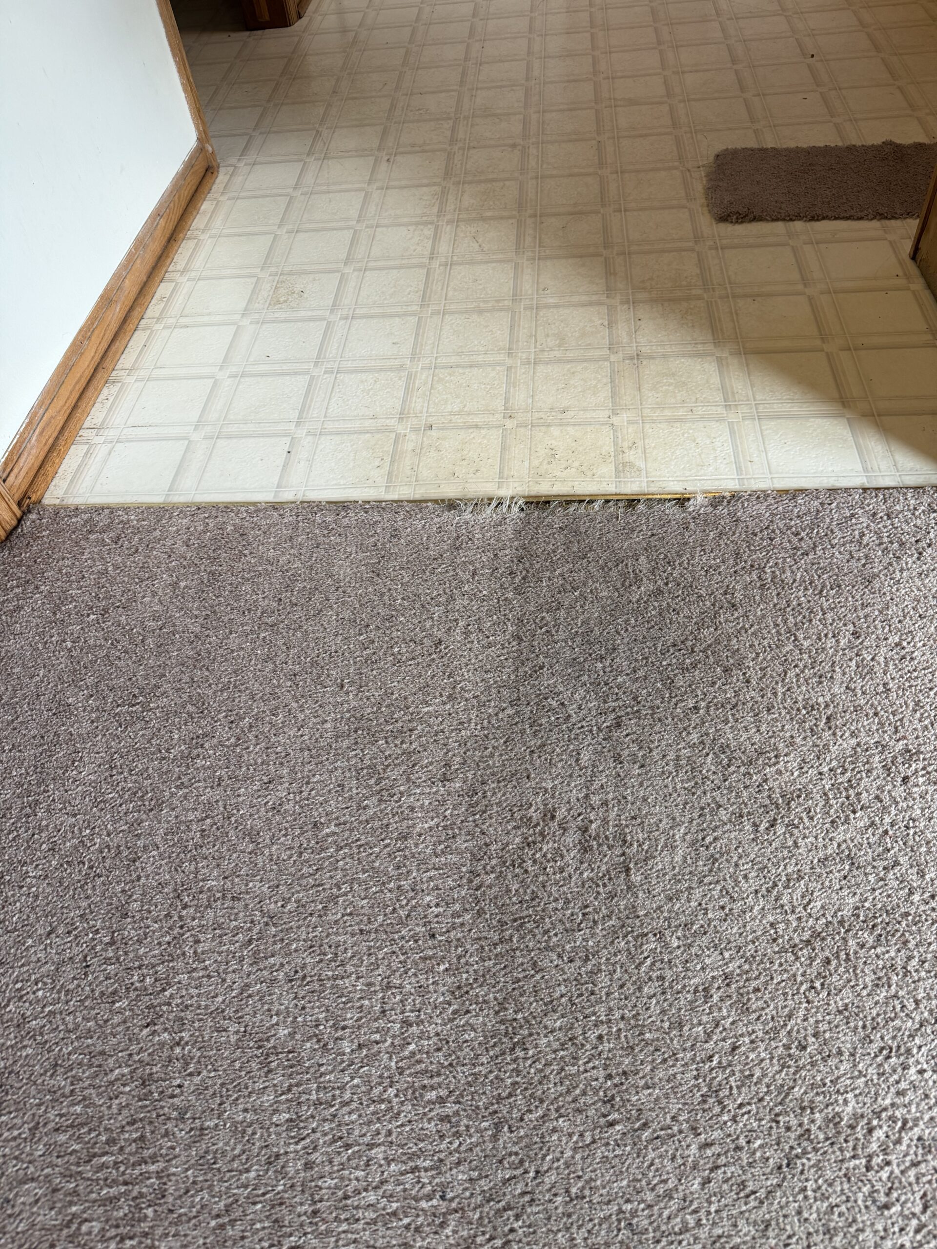 verona rental property carpet Verona, WI rental property carpet cleaning